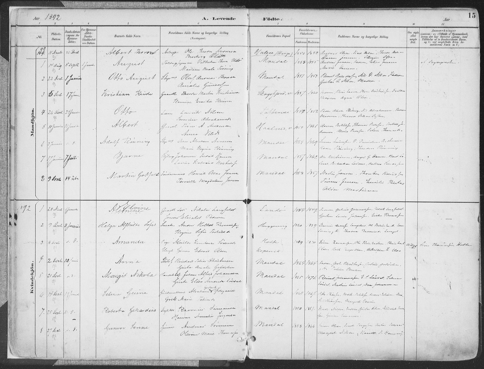 Mandal sokneprestkontor, SAK/1111-0030/F/Fa/Faa/L0018: Parish register (official) no. A 18, 1890-1905, p. 15