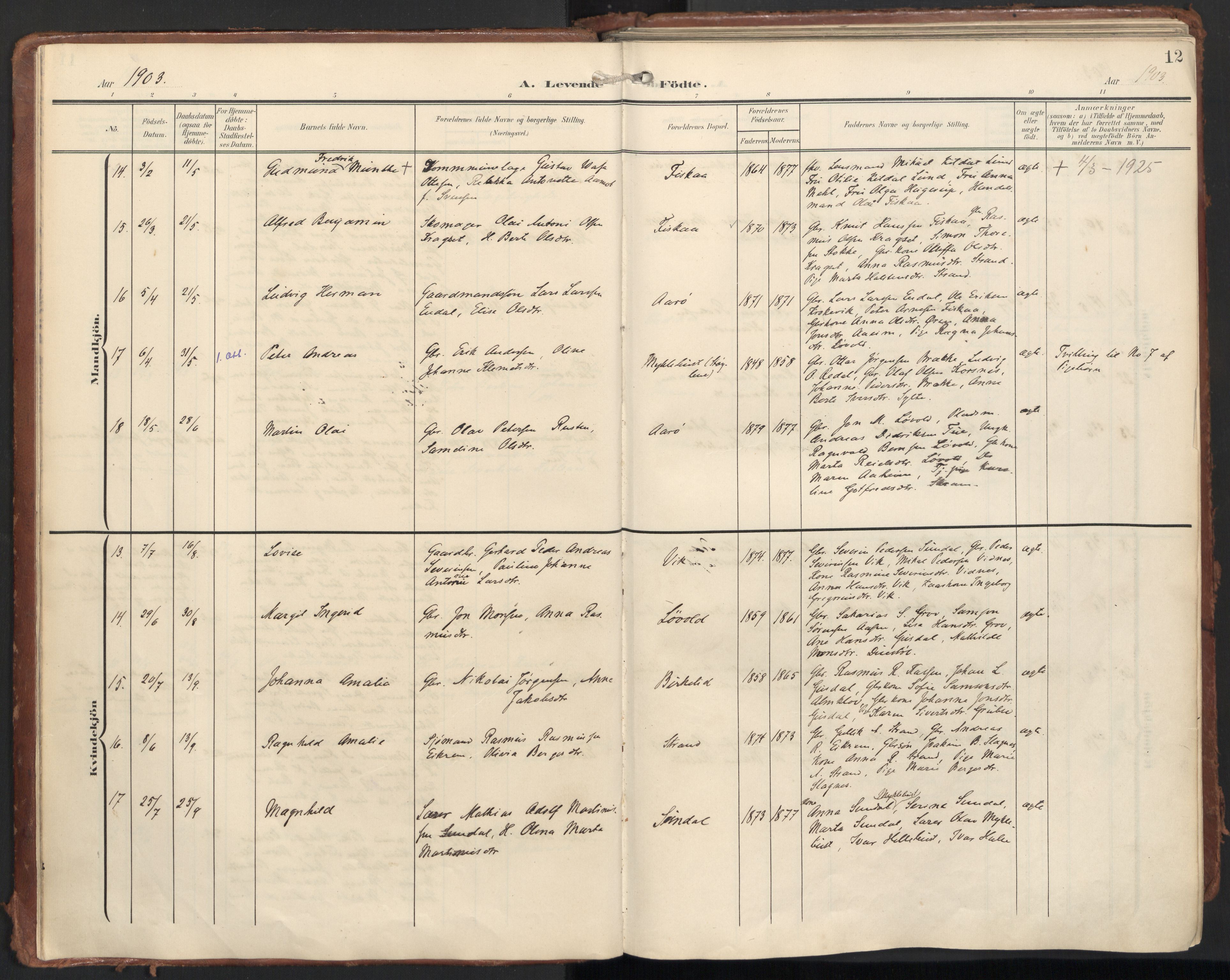 Ministerialprotokoller, klokkerbøker og fødselsregistre - Møre og Romsdal, AV/SAT-A-1454/501/L0011: Parish register (official) no. 501A11, 1902-1919, p. 12