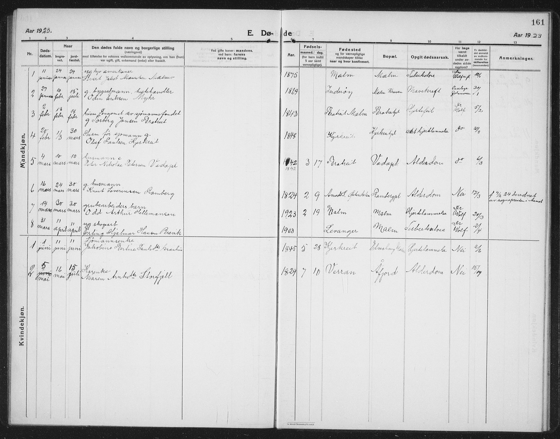 Ministerialprotokoller, klokkerbøker og fødselsregistre - Nord-Trøndelag, SAT/A-1458/745/L0434: Parish register (copy) no. 745C03, 1914-1937, p. 161