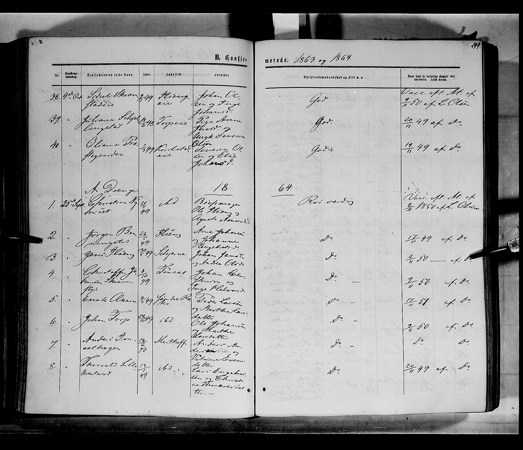 Løten prestekontor, AV/SAH-PREST-022/K/Ka/L0008: Parish register (official) no. 8, 1860-1877, p. 294