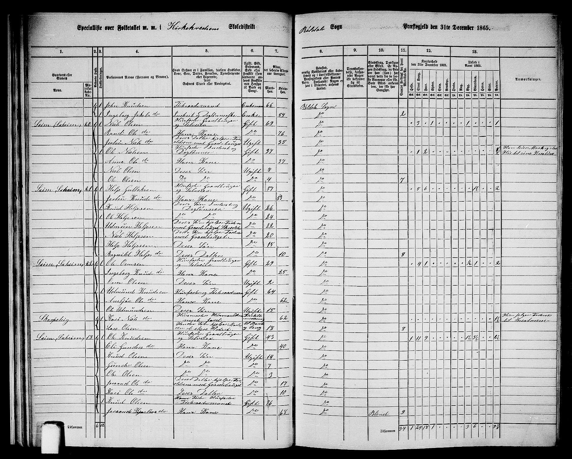 RA, 1865 census for Suldal, 1865, p. 153