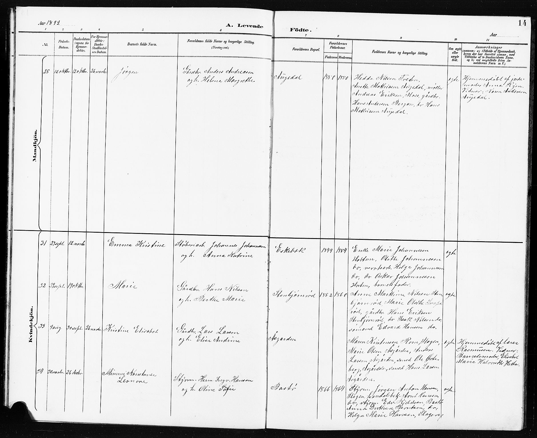 Borre kirkebøker, AV/SAKO-A-338/G/Ga/L0004: Parish register (copy) no. I 4, 1892-1913, p. 14