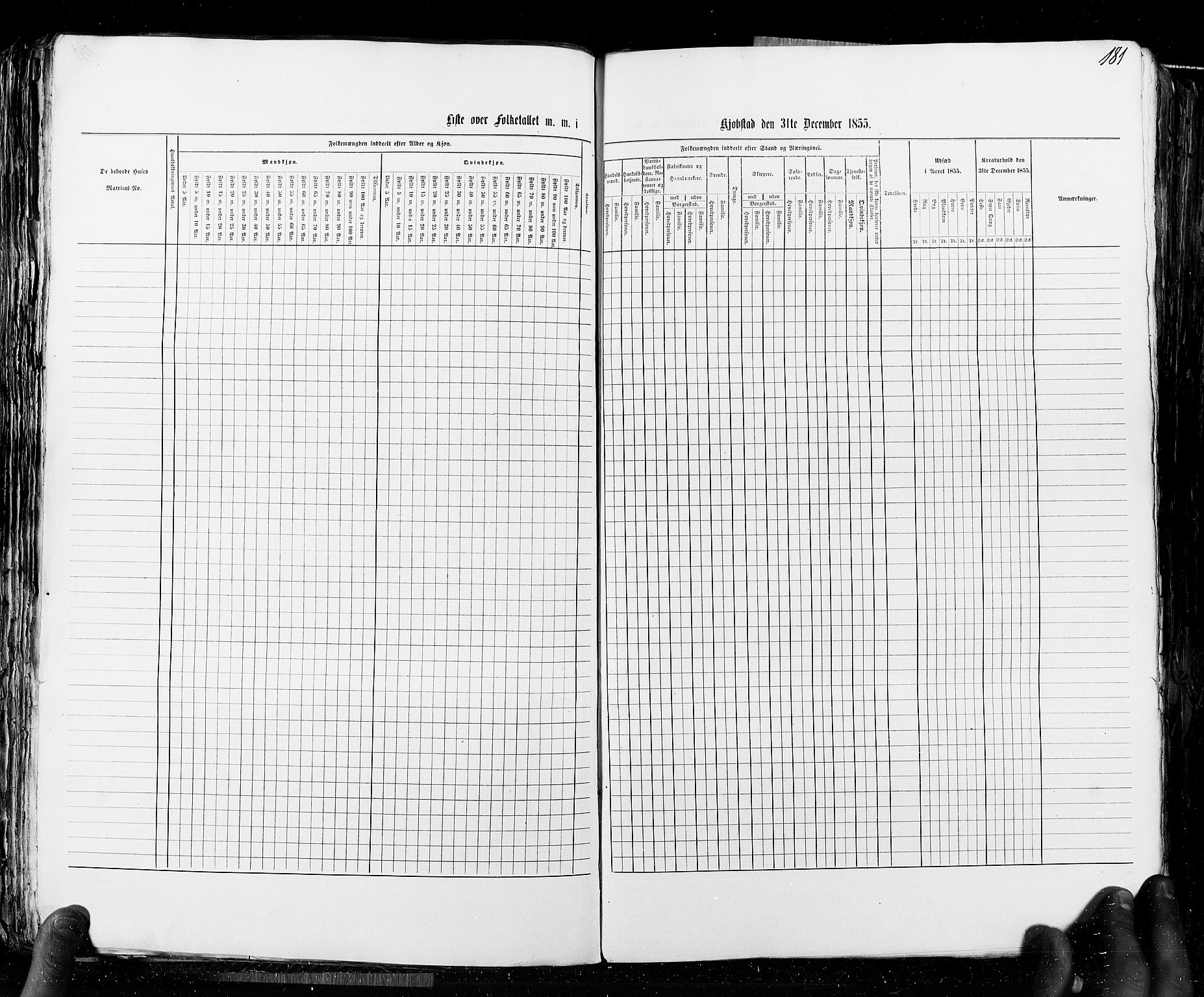 RA, Census 1855, vol. 8: Risør-Vadsø, 1855, p. 181