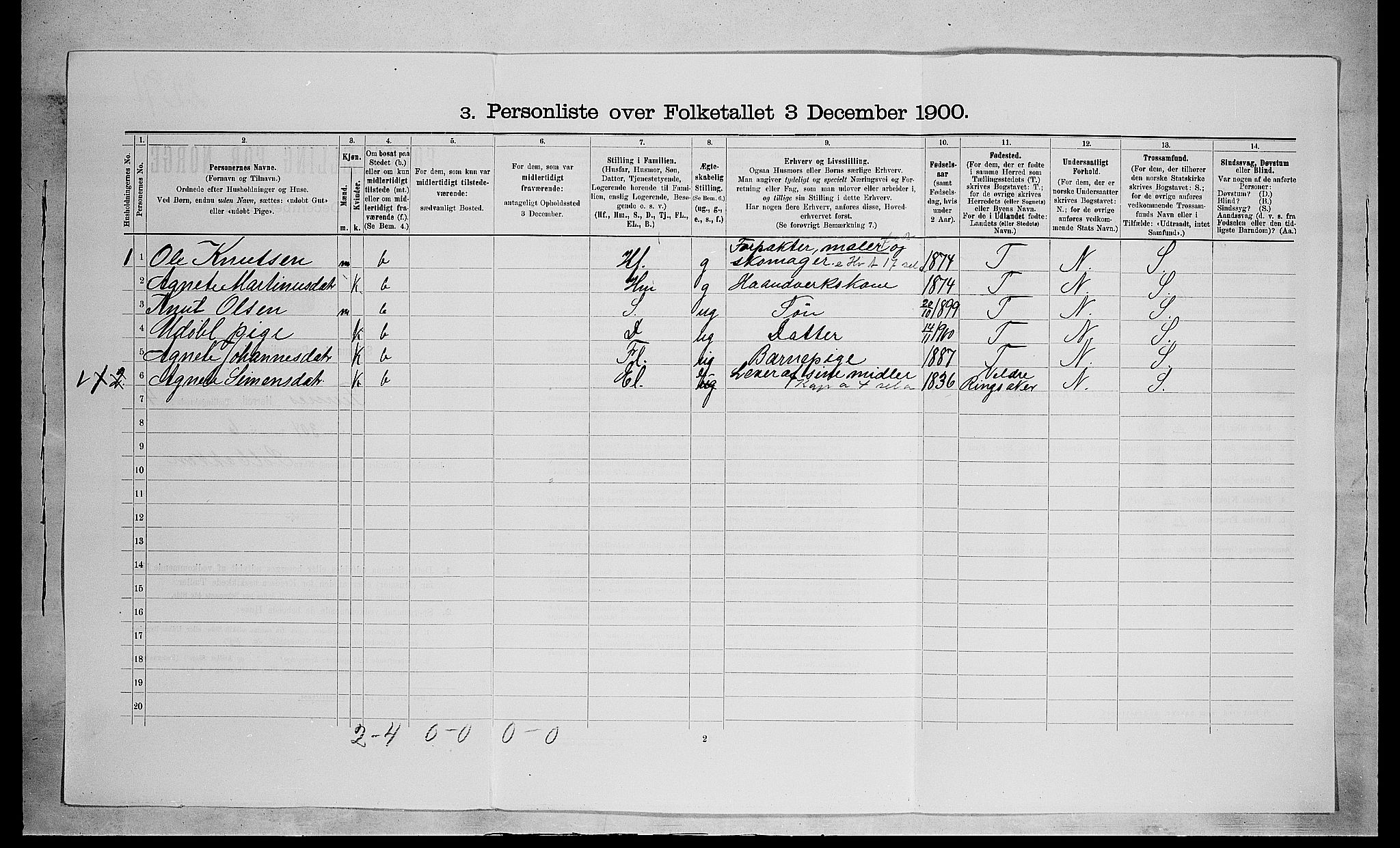 SAH, 1900 census for Furnes, 1900, p. 860