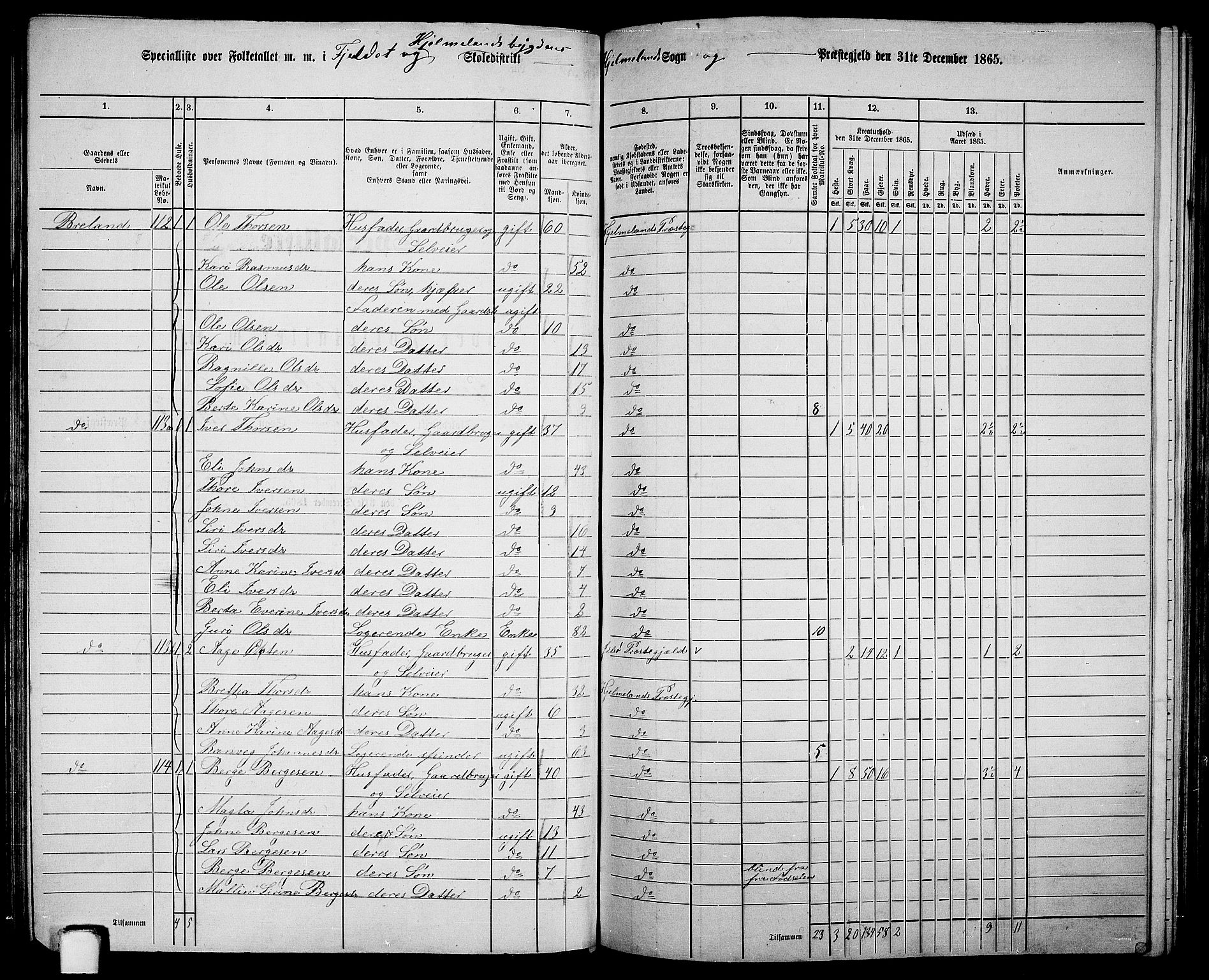 RA, 1865 census for Hjelmeland, 1865, p. 75