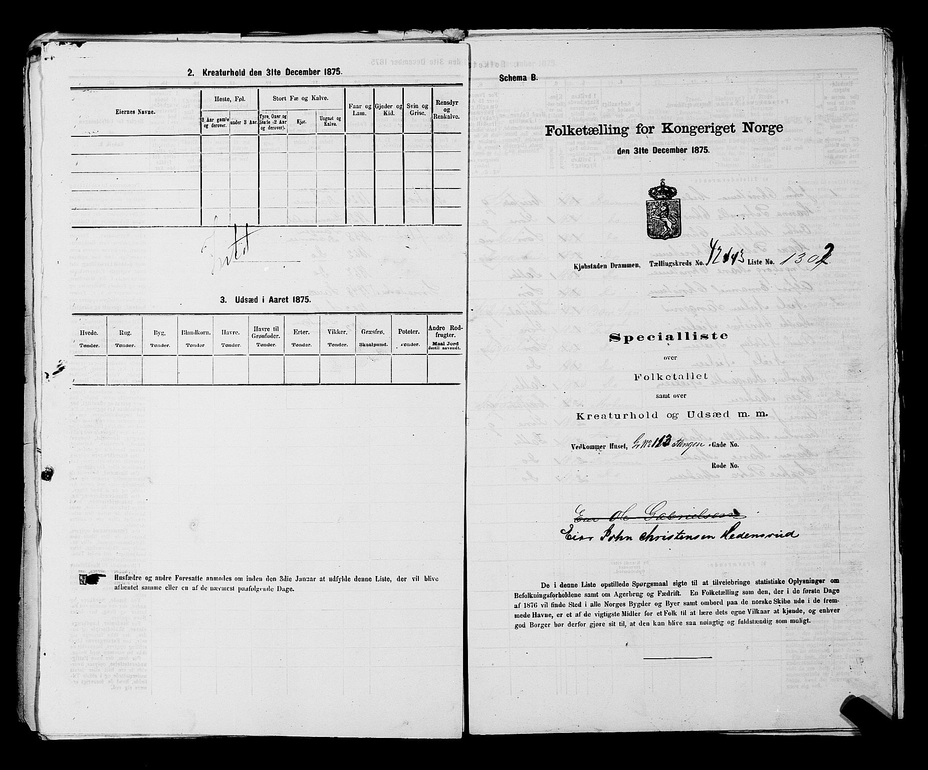 SAKO, 1875 census for 0602 Drammen, 1875, p. 3547