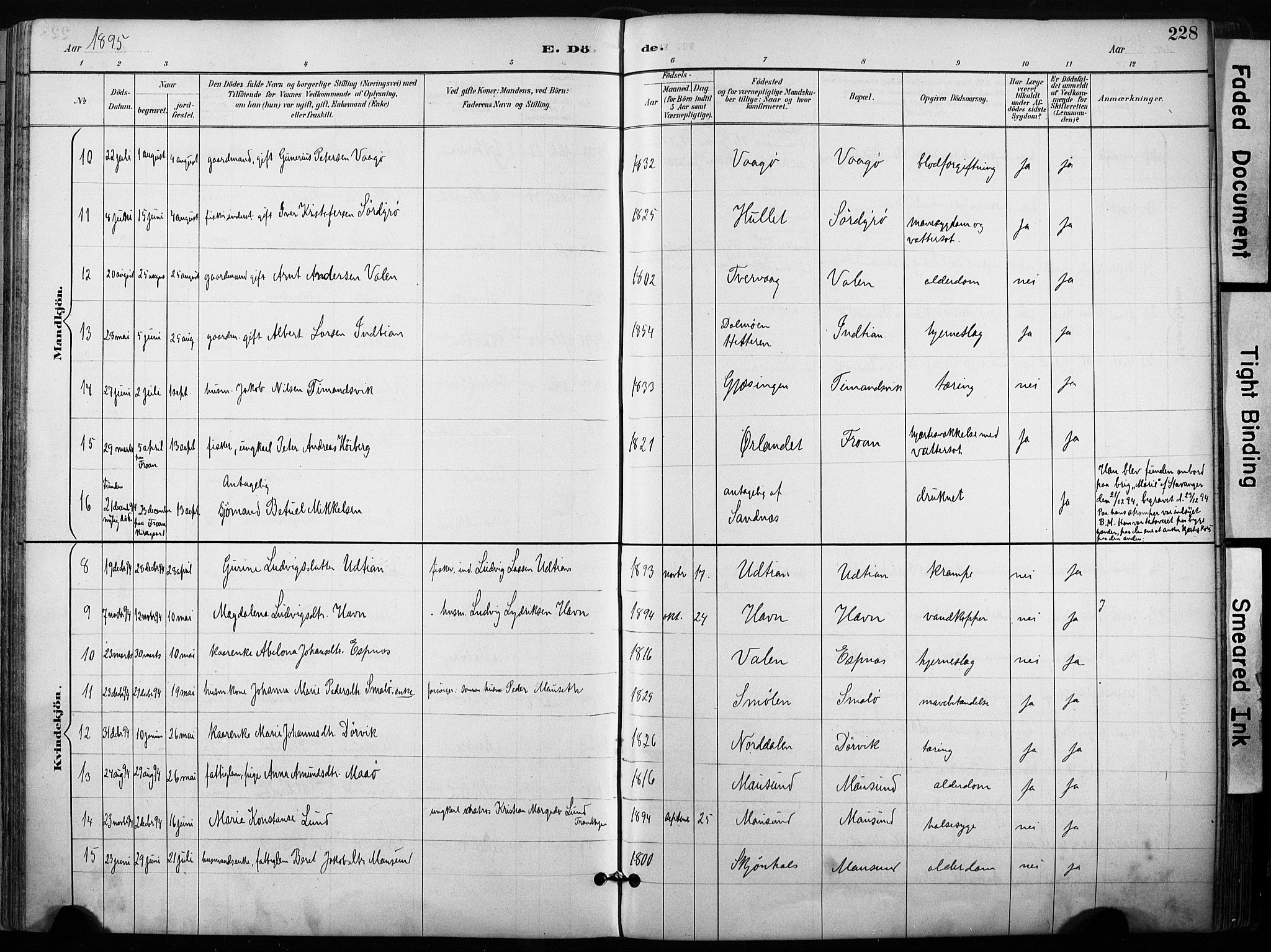 Ministerialprotokoller, klokkerbøker og fødselsregistre - Sør-Trøndelag, SAT/A-1456/640/L0579: Parish register (official) no. 640A04, 1889-1902, p. 228