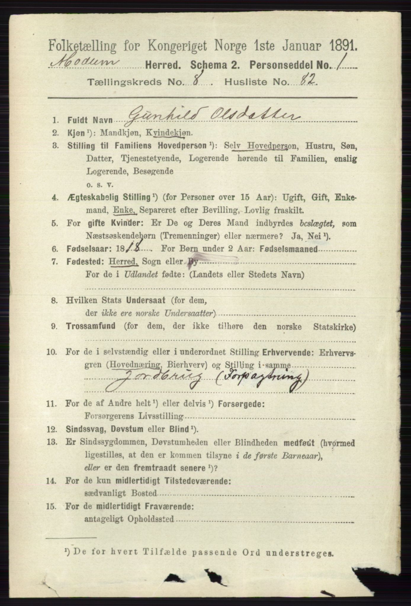 RA, 1891 census for 0623 Modum, 1891, p. 3356