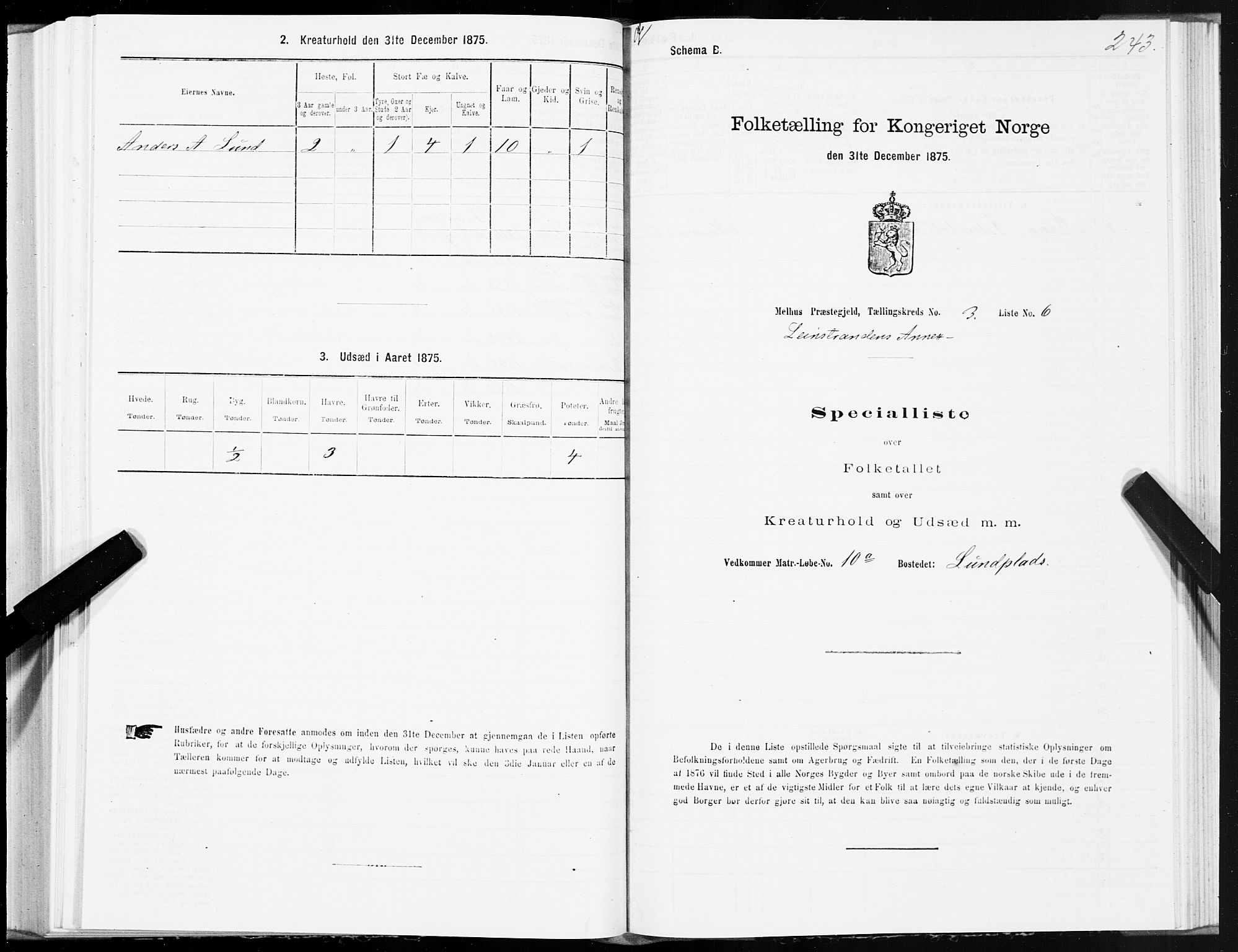 SAT, 1875 census for 1653P Melhus, 1875, p. 8243