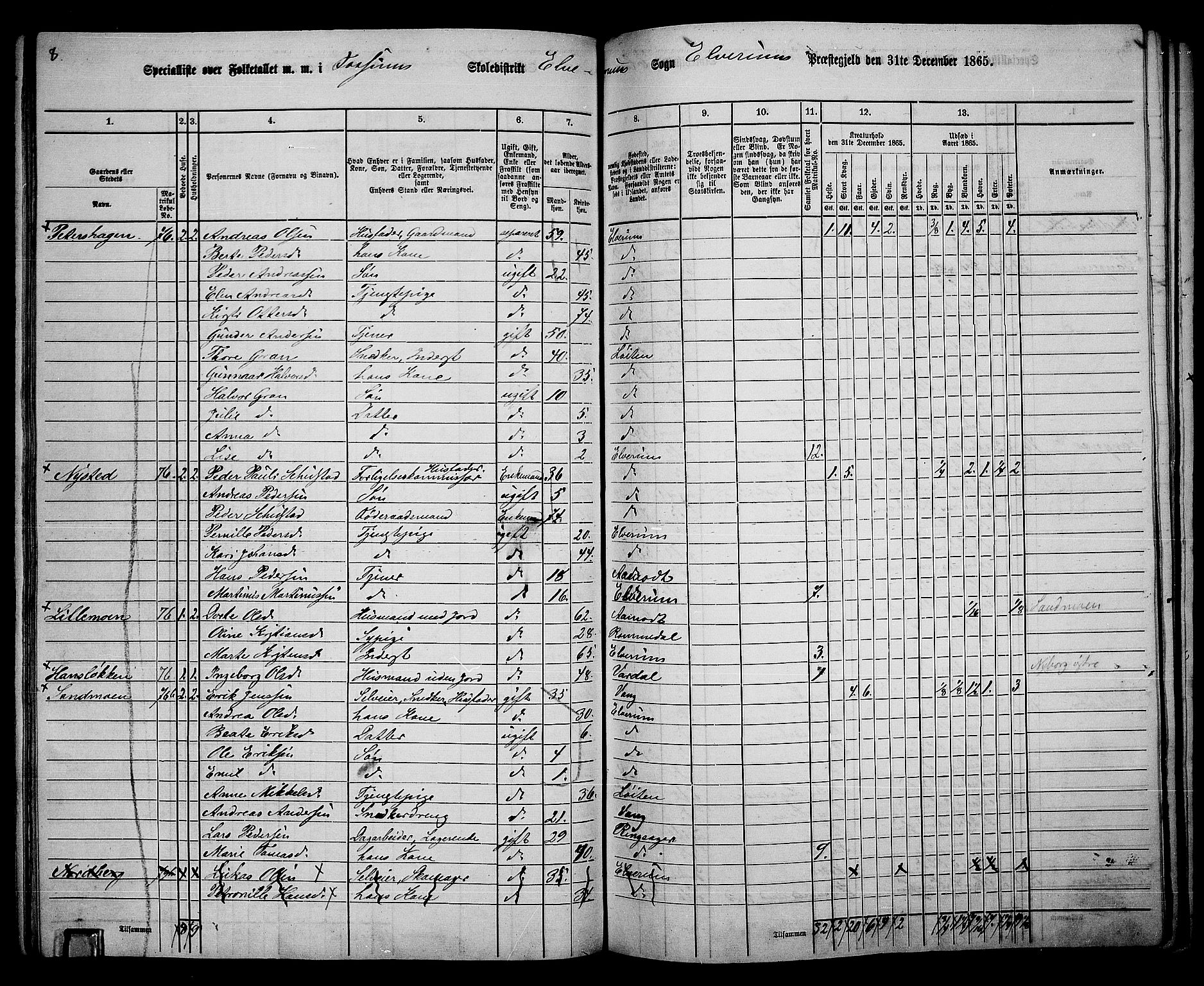 RA, 1865 census for Elverum, 1865, p. 107