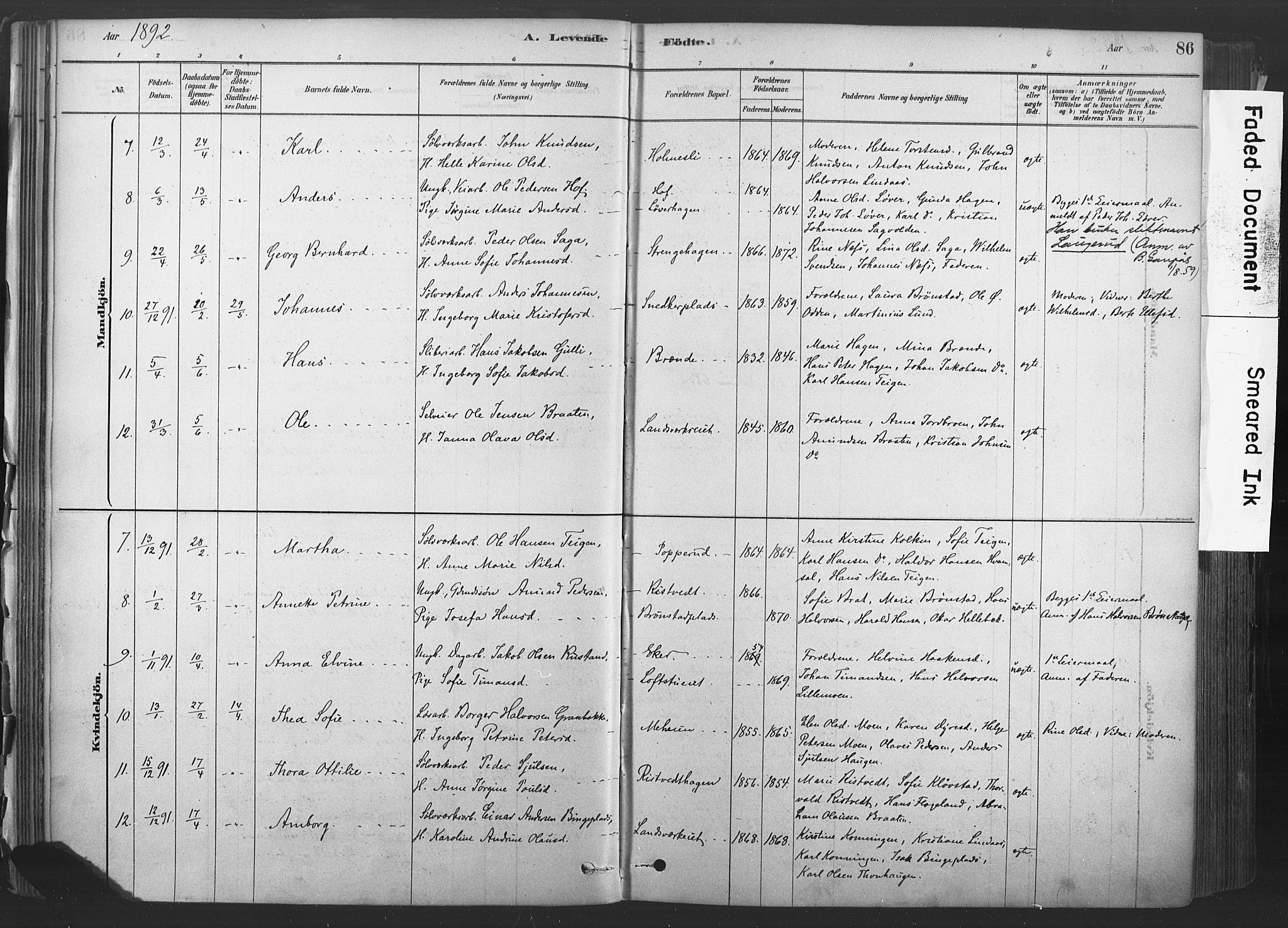 Sandsvær kirkebøker, SAKO/A-244/F/Fd/L0001: Parish register (official) no. IV 1, 1878-1906, p. 86