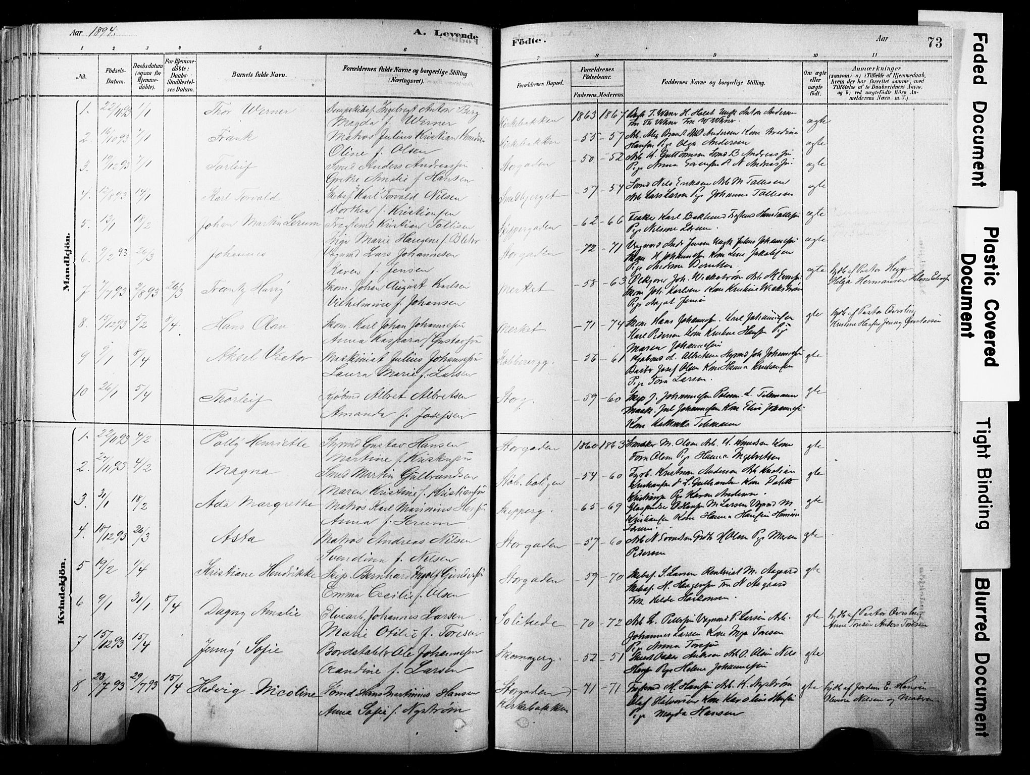 Strømsø kirkebøker, SAKO/A-246/F/Fb/L0006: Parish register (official) no. II 6, 1879-1910, p. 73