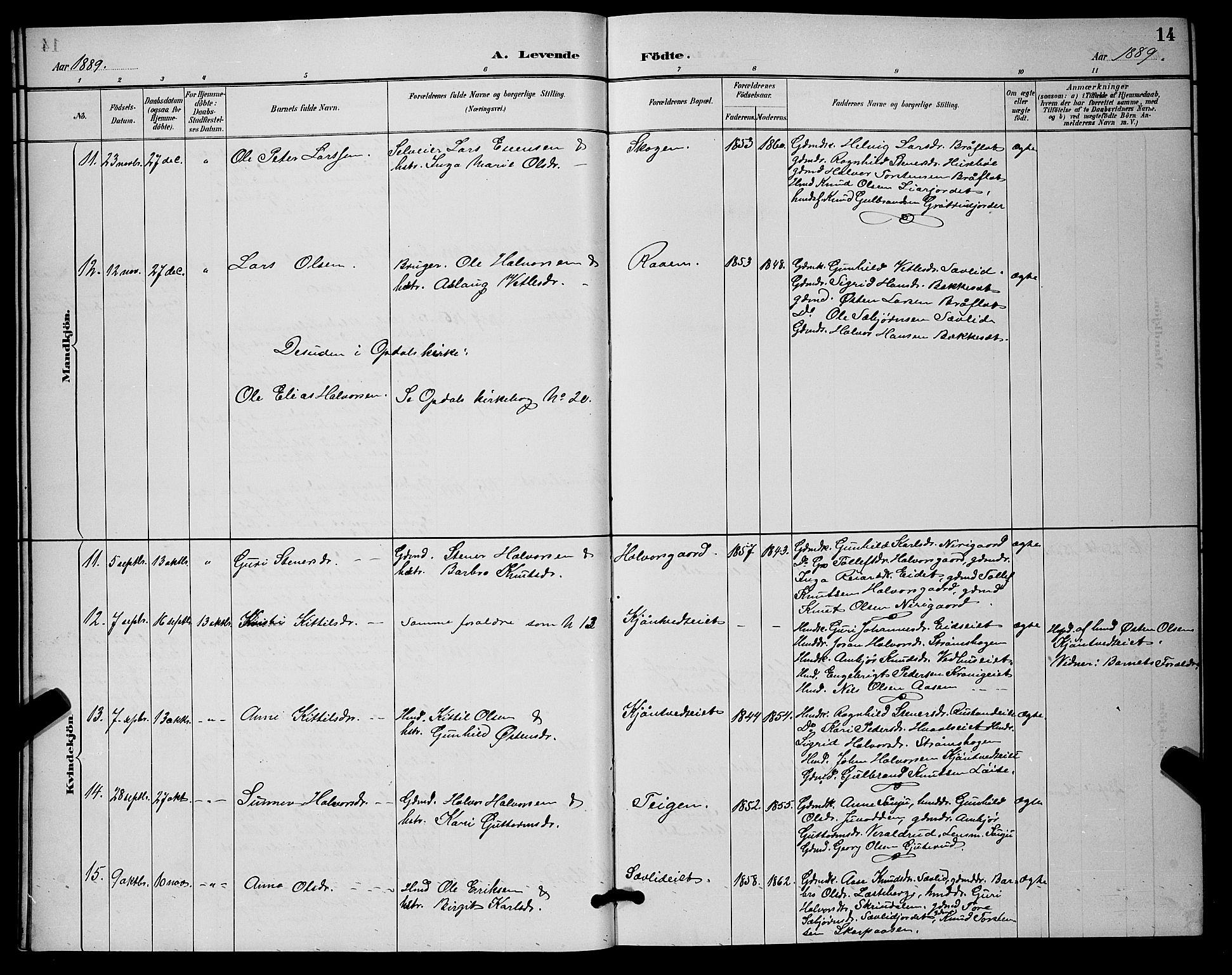 Nore kirkebøker, AV/SAKO-A-238/G/Ga/L0003: Parish register (copy) no. I 3, 1886-1903, p. 14