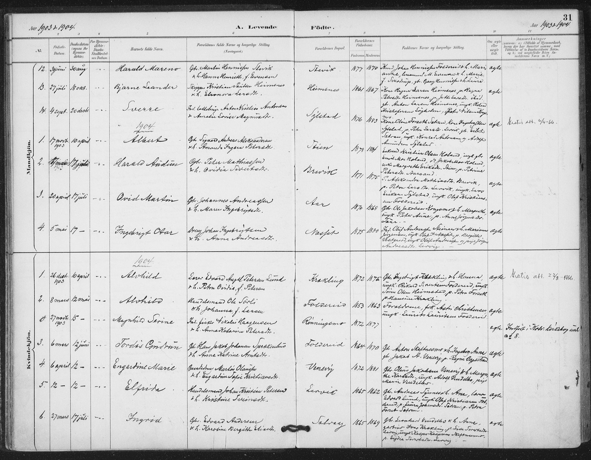 Ministerialprotokoller, klokkerbøker og fødselsregistre - Nord-Trøndelag, SAT/A-1458/783/L0660: Parish register (official) no. 783A02, 1886-1918, p. 31