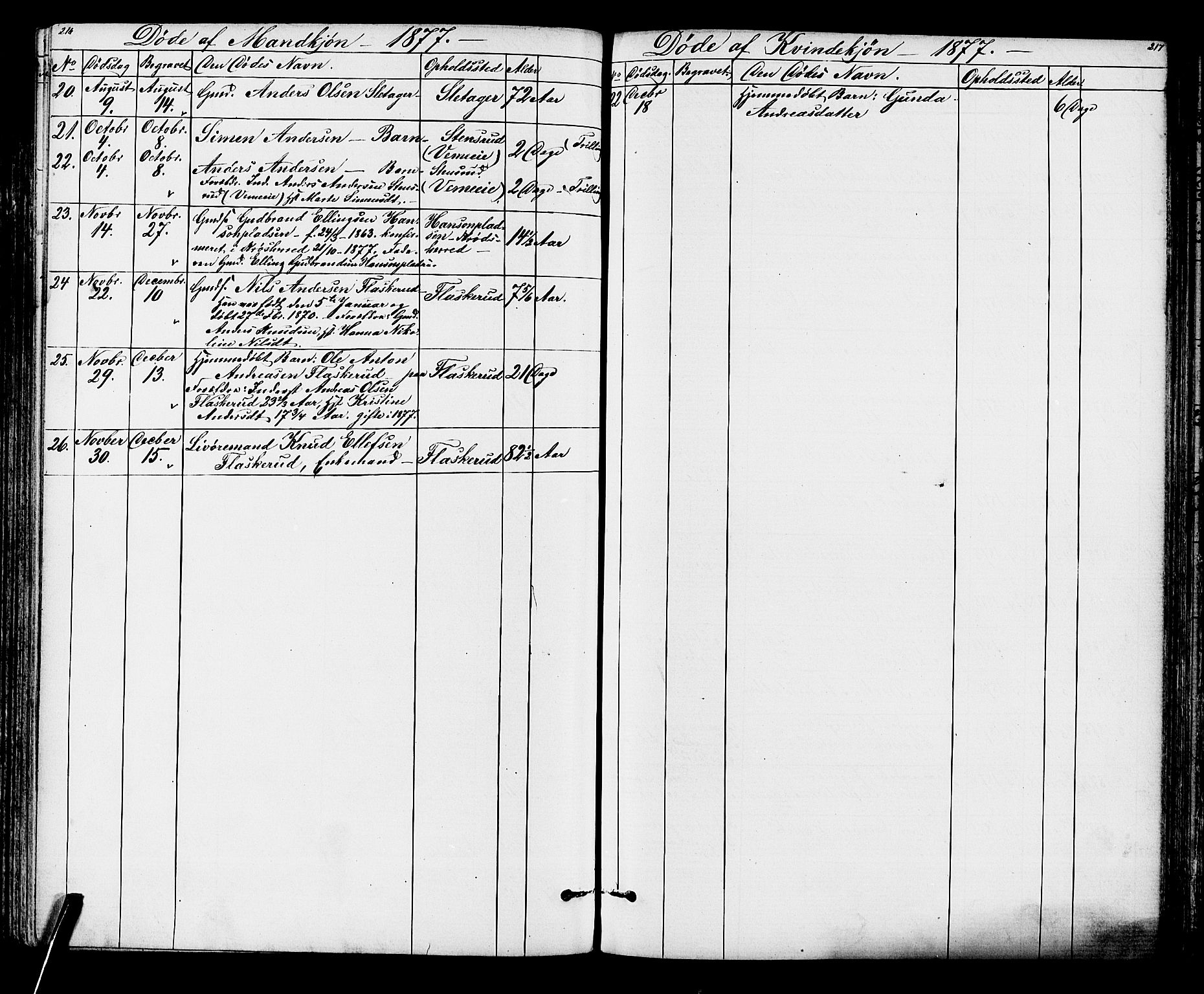 Lunder kirkebøker, AV/SAKO-A-629/G/Ga/L0003a: Parish register (copy) no. I 3, 1869-1888, p. 216-217