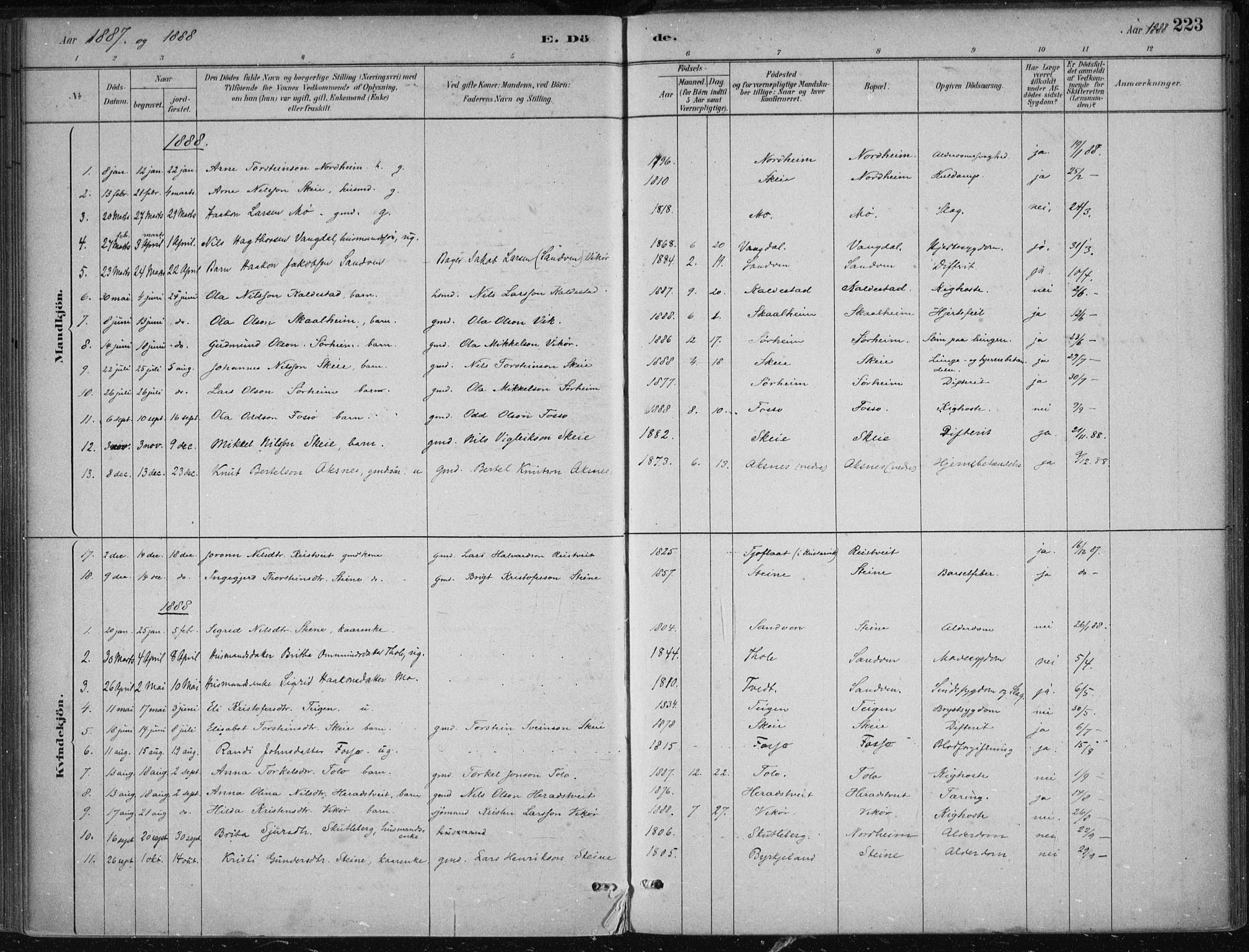 Kvam sokneprestembete, SAB/A-76201/H/Haa: Parish register (official) no. B  1, 1880-1908, p. 223