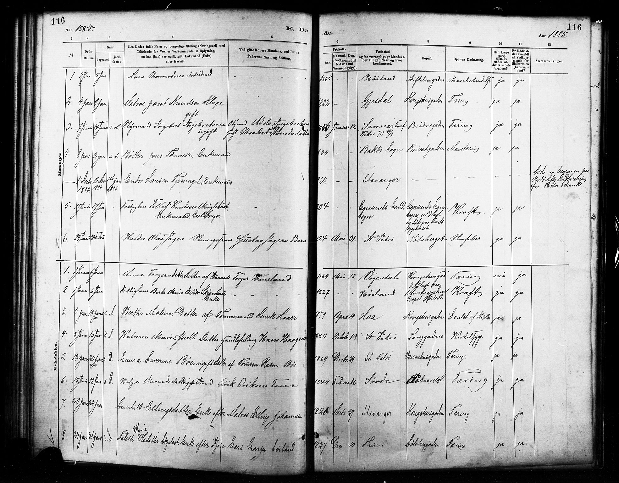 St. Petri sokneprestkontor, AV/SAST-A-101813/001/30/30BA/L0017: Parish register (official) no. A 17, 1879-1895, p. 116