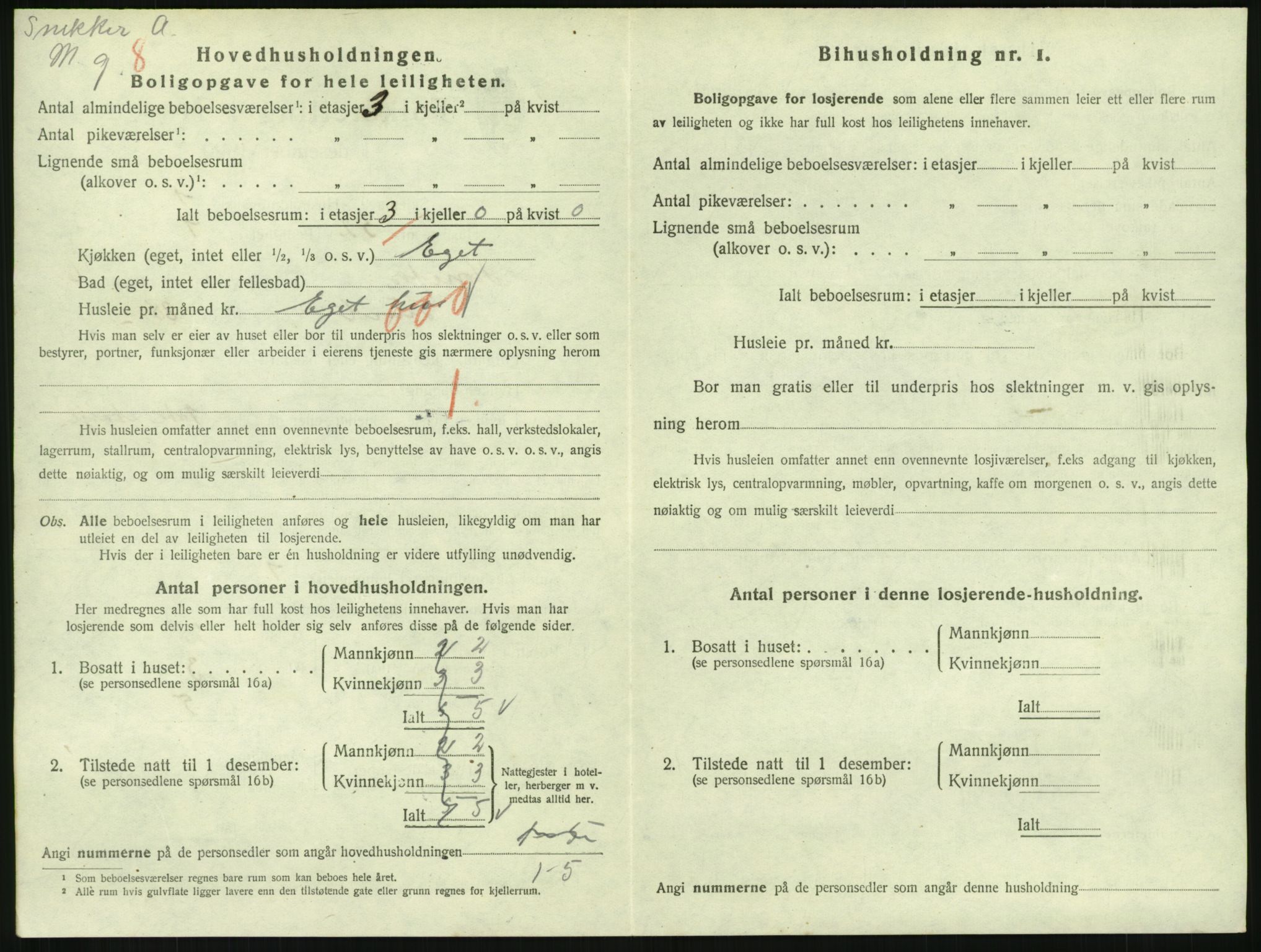 SAKO, 1920 census for Hønefoss, 1920, p. 2101