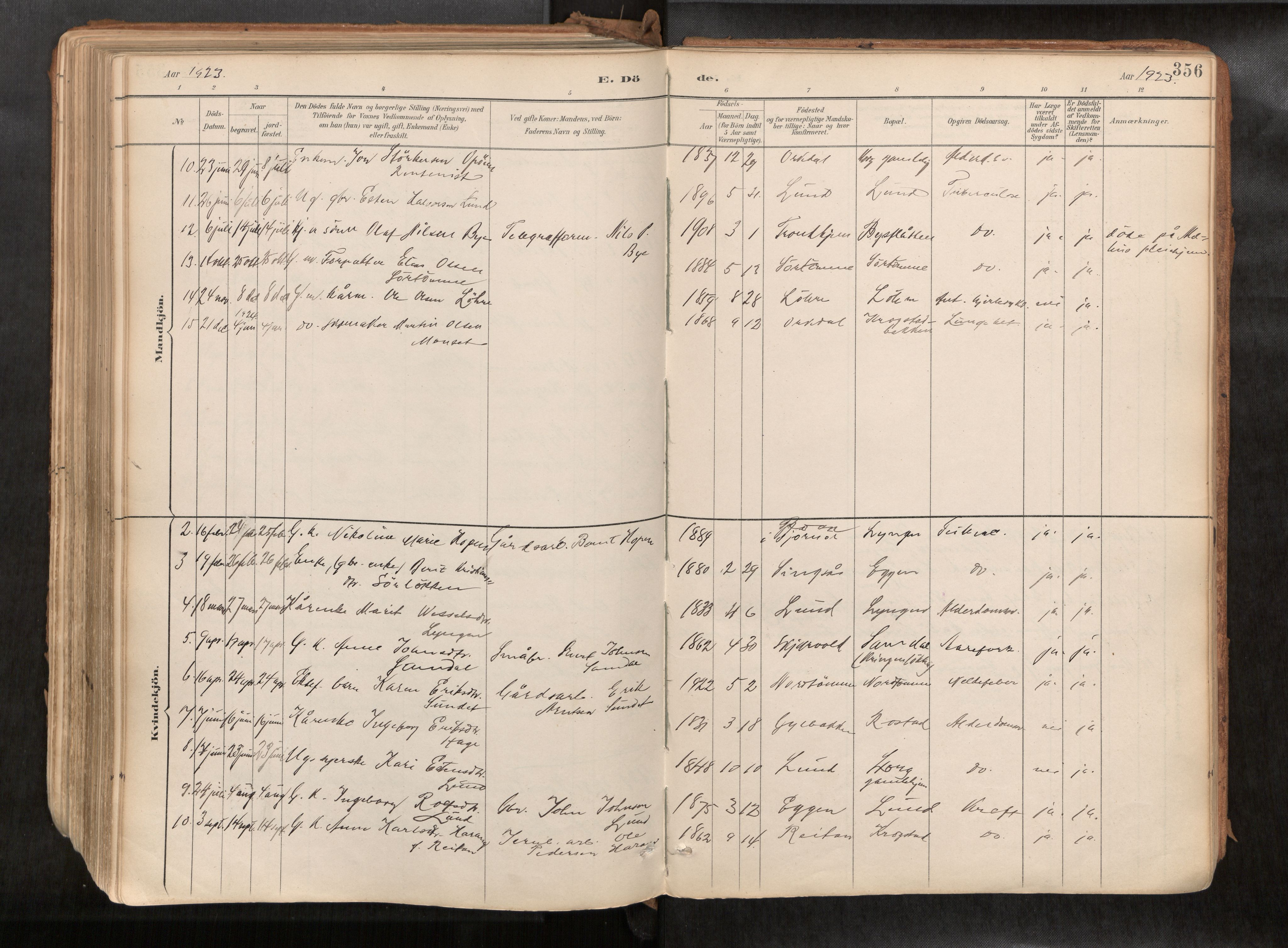 Ministerialprotokoller, klokkerbøker og fødselsregistre - Sør-Trøndelag, SAT/A-1456/692/L1105b: Parish register (official) no. 692A06, 1891-1934, p. 356