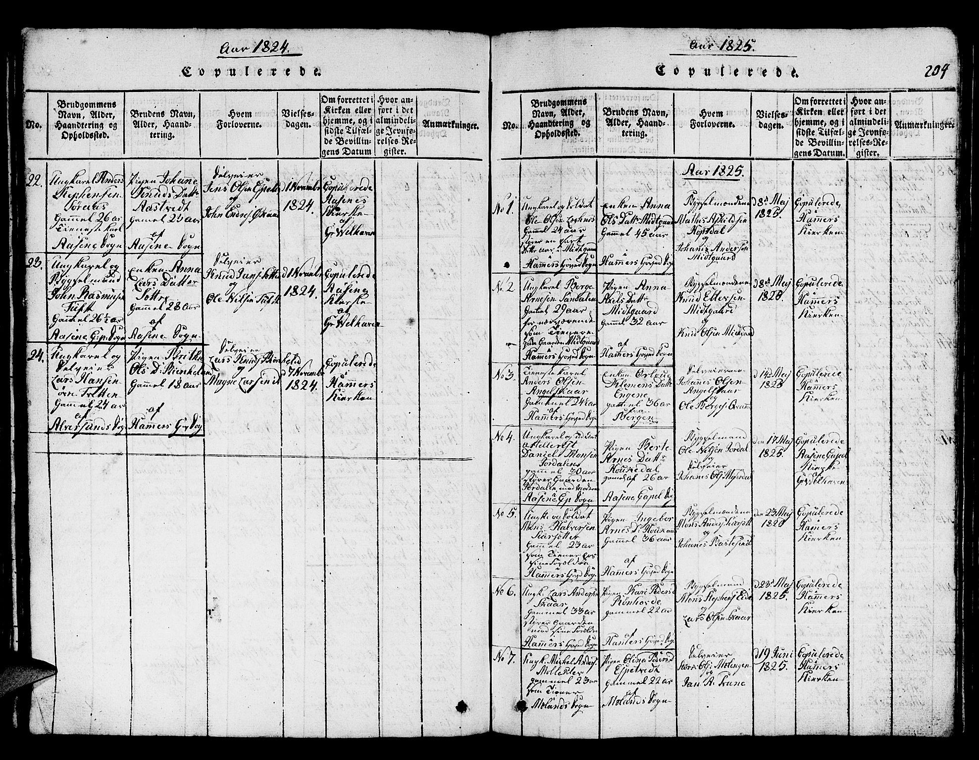 Hamre sokneprestembete, SAB/A-75501/H/Ha/Hab: Parish register (copy) no. A 1, 1816-1826, p. 204