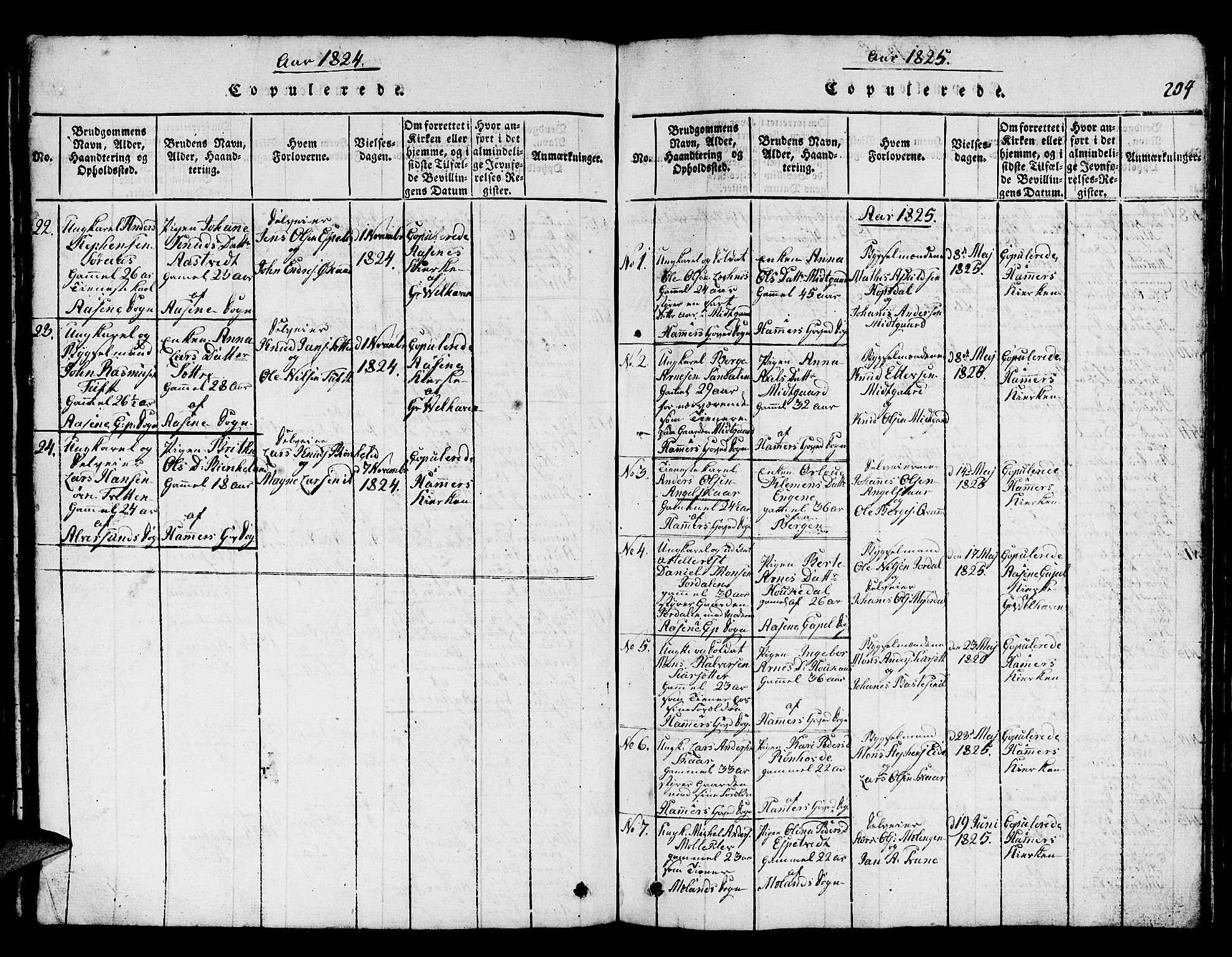 Hamre sokneprestembete, AV/SAB-A-75501/H/Ha/Hab: Parish register (copy) no. A 1, 1816-1826, p. 204