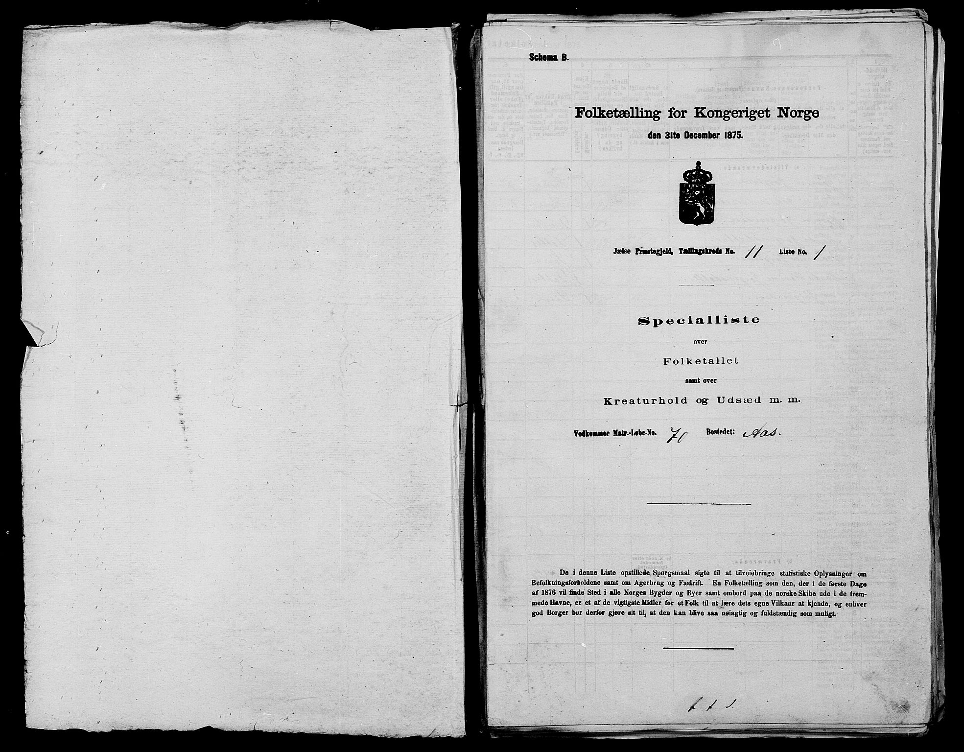 SAST, 1875 census for 1138P Jelsa, 1875, p. 974