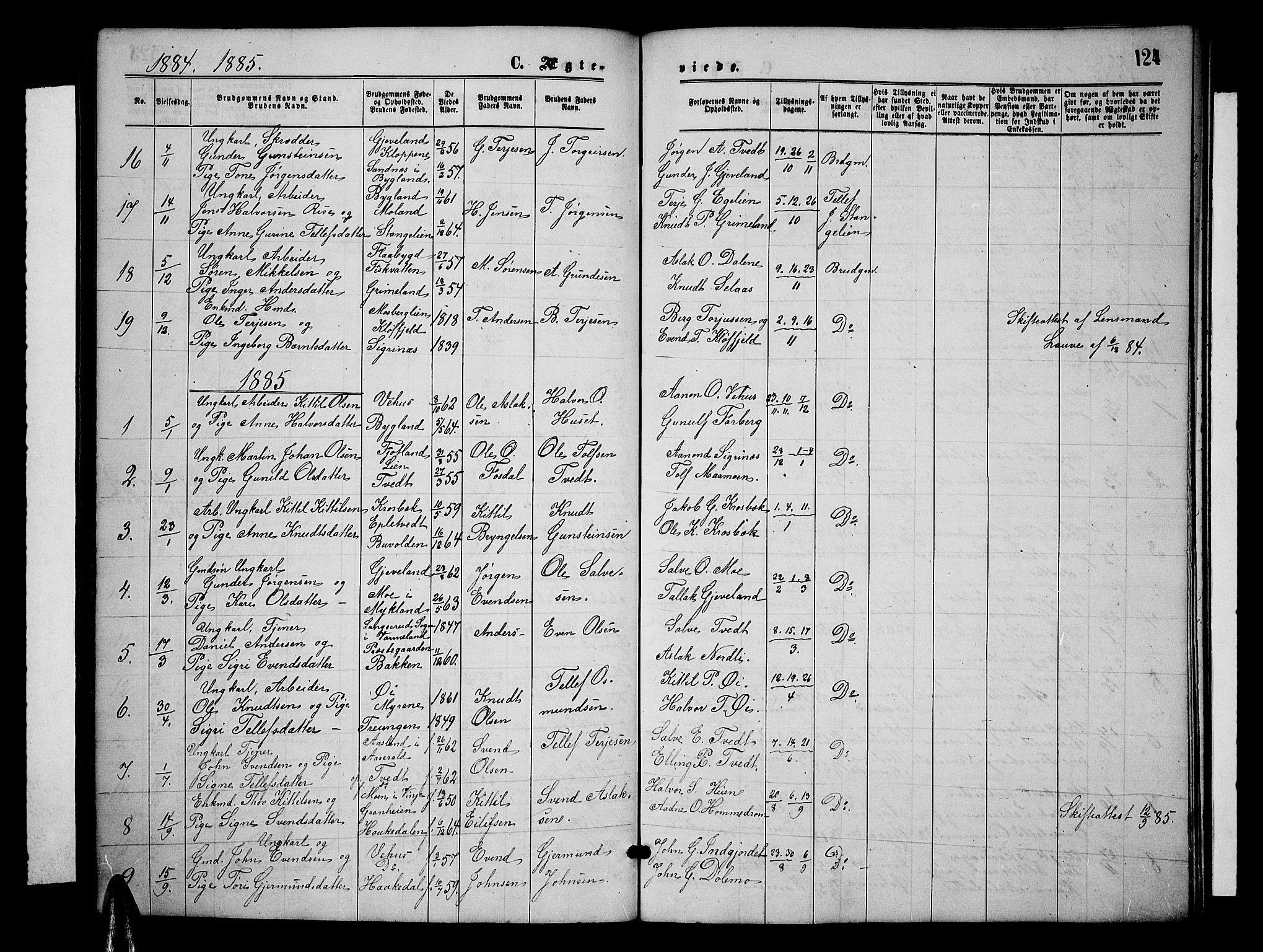 Åmli sokneprestkontor, SAK/1111-0050/F/Fb/Fbc/L0003: Parish register (copy) no. B 3, 1868-1888, p. 124