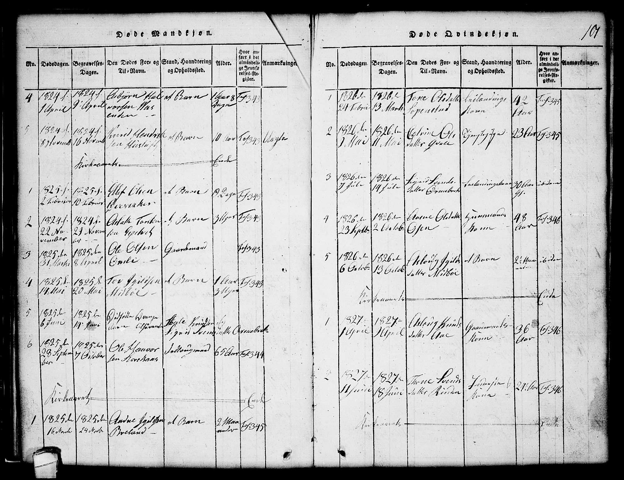 Lårdal kirkebøker, SAKO/A-284/G/Gc/L0001: Parish register (copy) no. III 1, 1815-1854, p. 101
