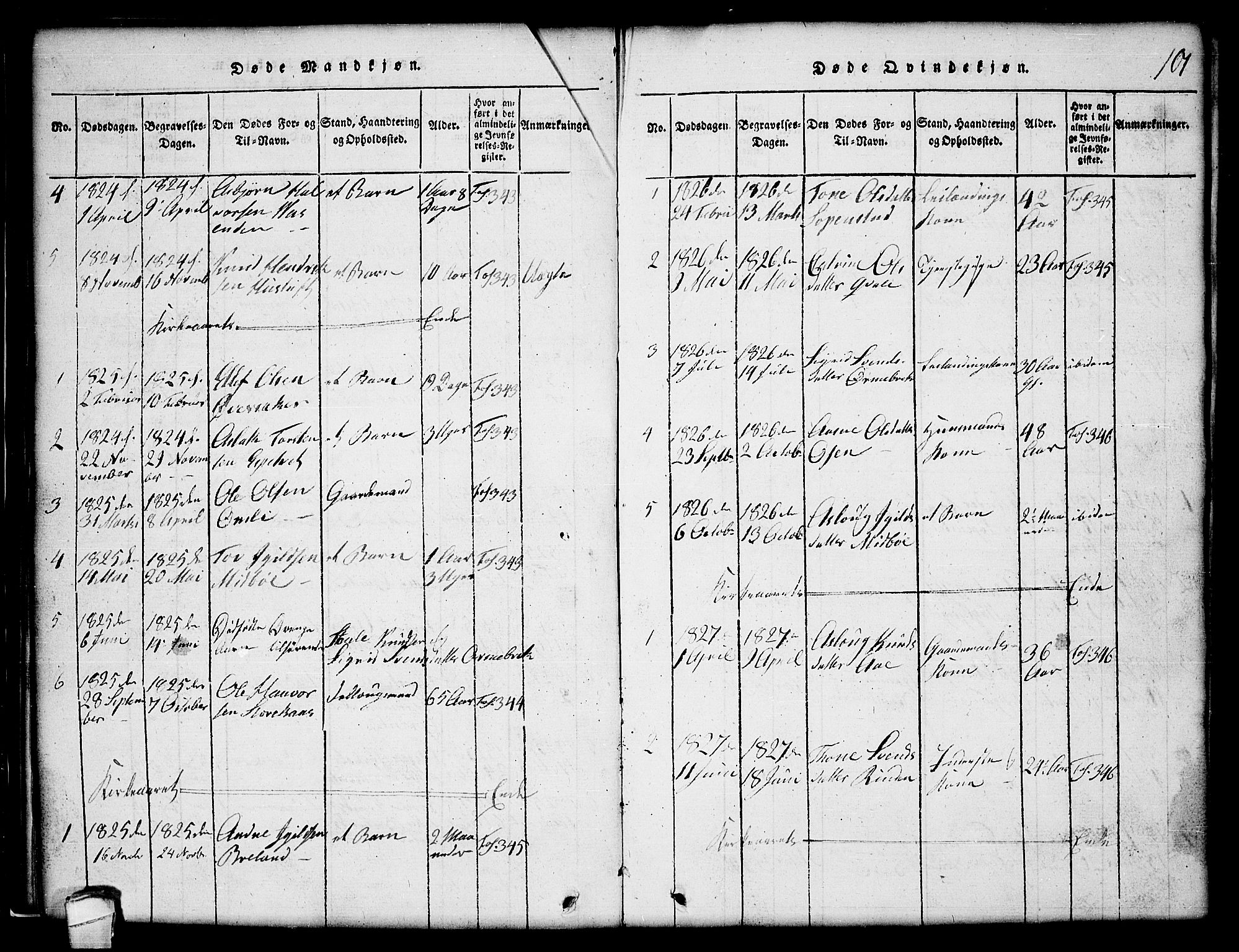 Lårdal kirkebøker, AV/SAKO-A-284/G/Gc/L0001: Parish register (copy) no. III 1, 1815-1854, p. 101