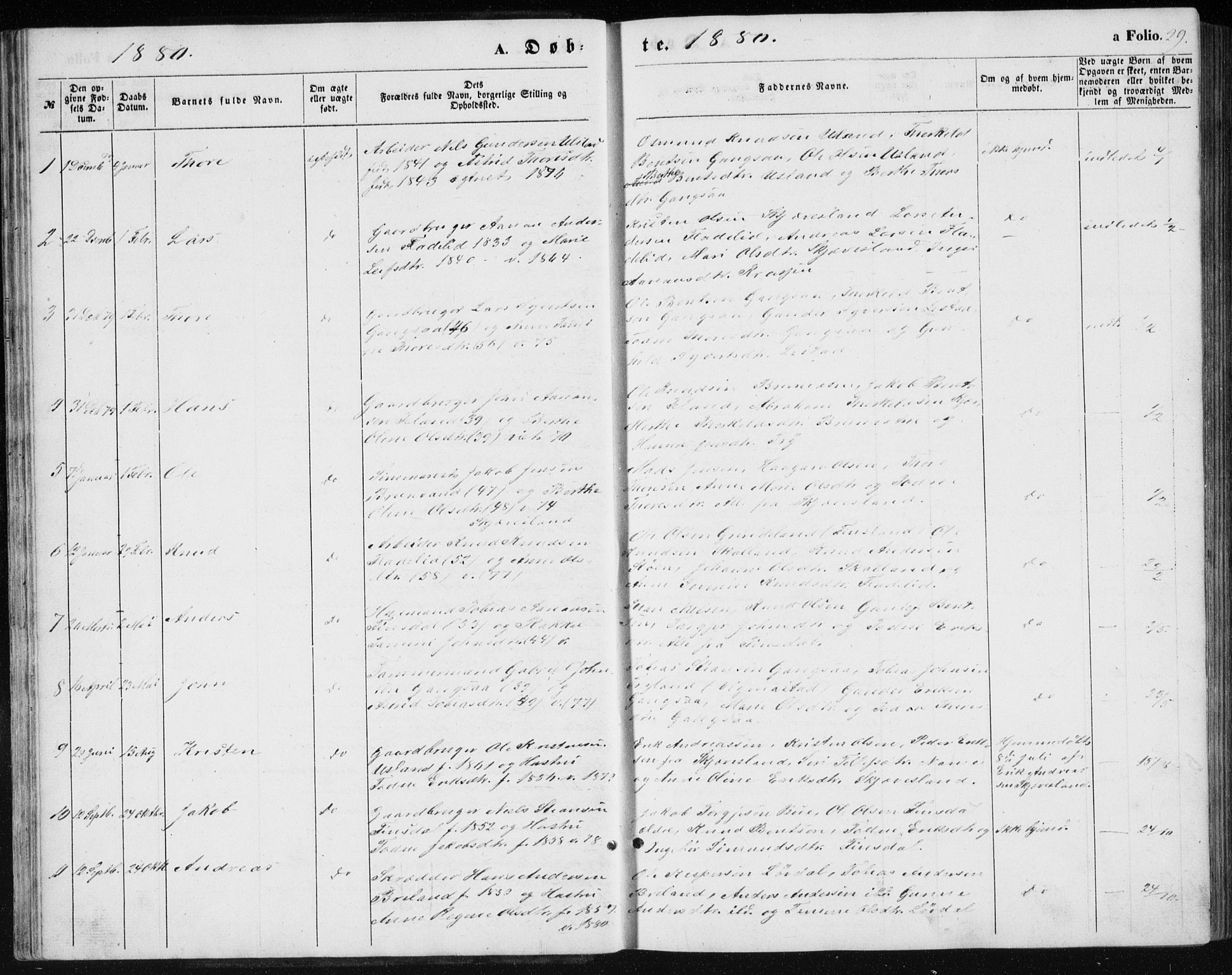 Holum sokneprestkontor, SAK/1111-0022/F/Fb/Fbc/L0002: Parish register (copy) no. B 2, 1860-1882, p. 29