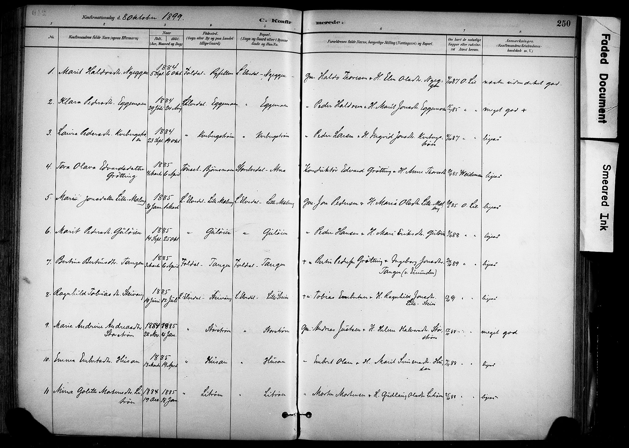 Alvdal prestekontor, AV/SAH-PREST-060/H/Ha/Haa/L0002: Parish register (official) no. 2, 1883-1906, p. 250