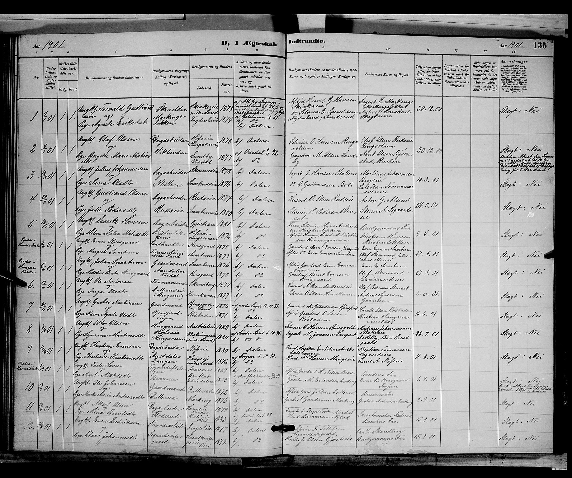 Biri prestekontor, SAH/PREST-096/H/Ha/Hab/L0003: Parish register (copy) no. 3, 1892-1905, p. 135