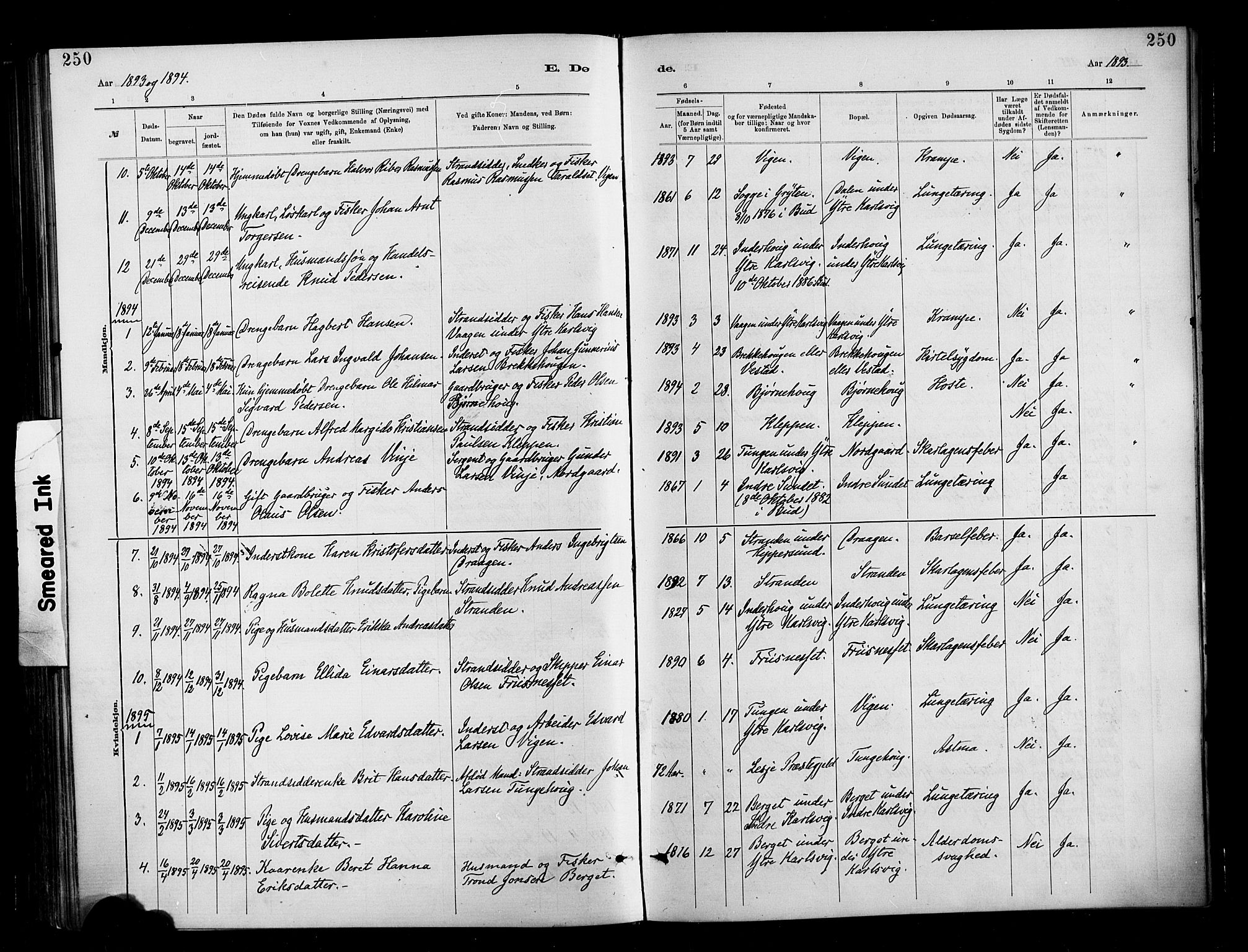 Ministerialprotokoller, klokkerbøker og fødselsregistre - Møre og Romsdal, SAT/A-1454/566/L0769: Parish register (official) no. 566A08, 1881-1903, p. 250
