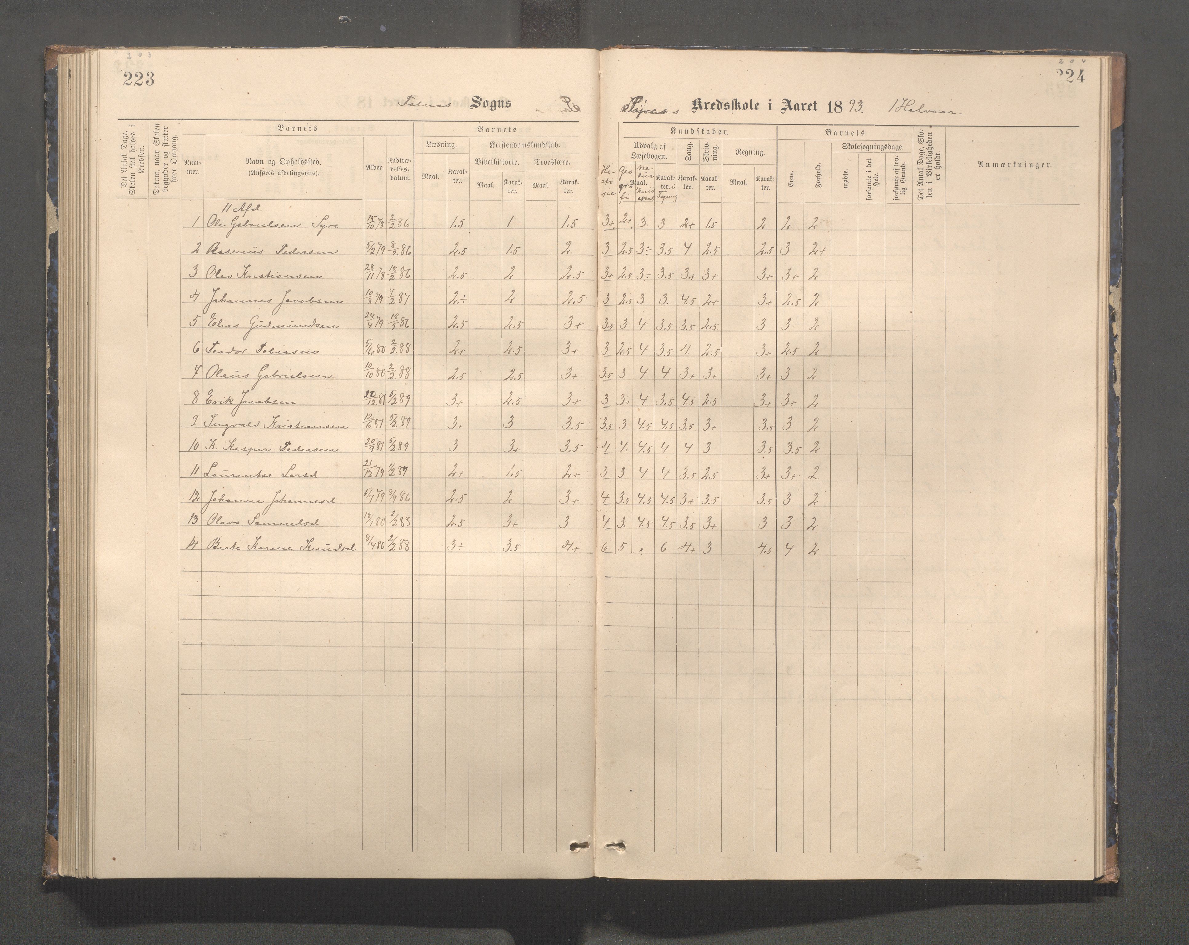 Skudenes kommune - Syre - Høynes skole, IKAR/A-307/H/L0005: Skoleprotokoll - Syre - Høynes, 1886-1898, p. 203-204