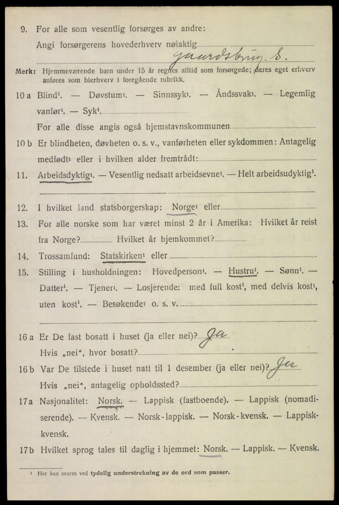 SAT, 1920 census for Bø, 1920, p. 9547