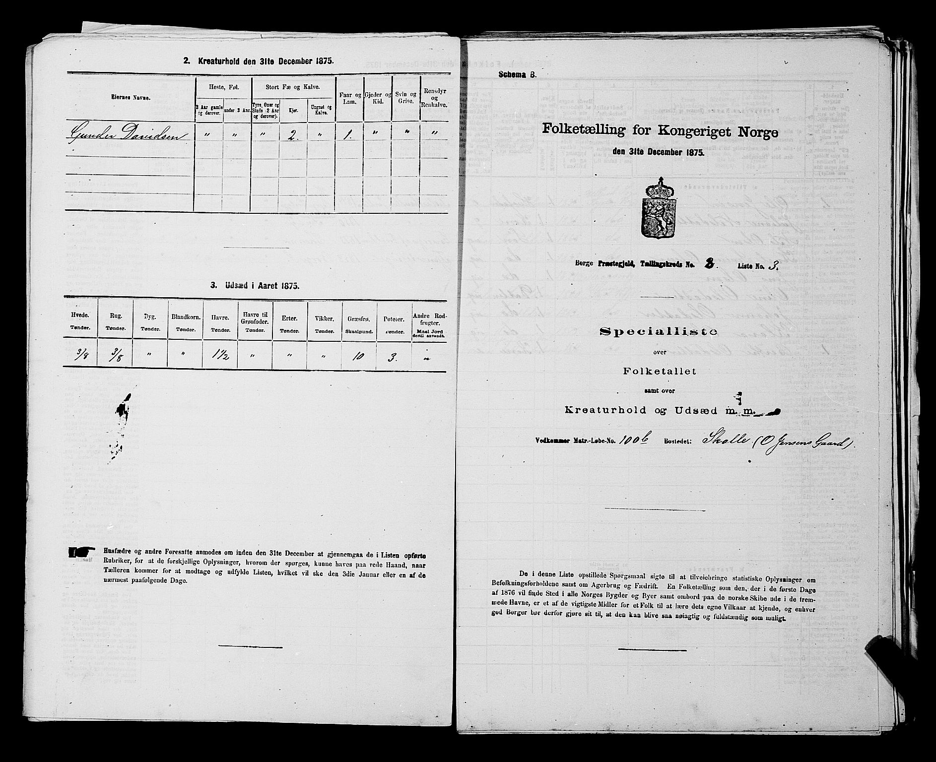 RA, 1875 census for 0113P Borge, 1875, p. 1107