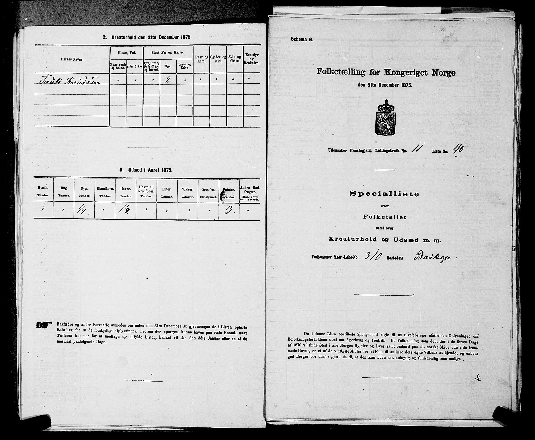 RA, 1875 census for 0235P Ullensaker, 1875, p. 1575