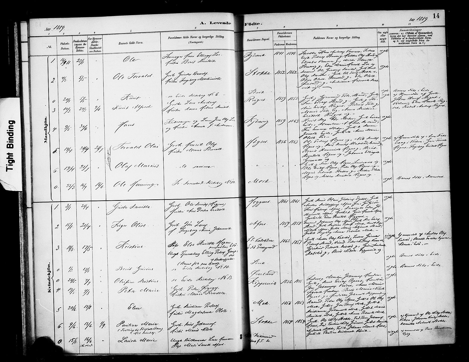 Ministerialprotokoller, klokkerbøker og fødselsregistre - Møre og Romsdal, SAT/A-1454/568/L0809: Parish register (official) no. 568A13, 1884-1900, p. 14