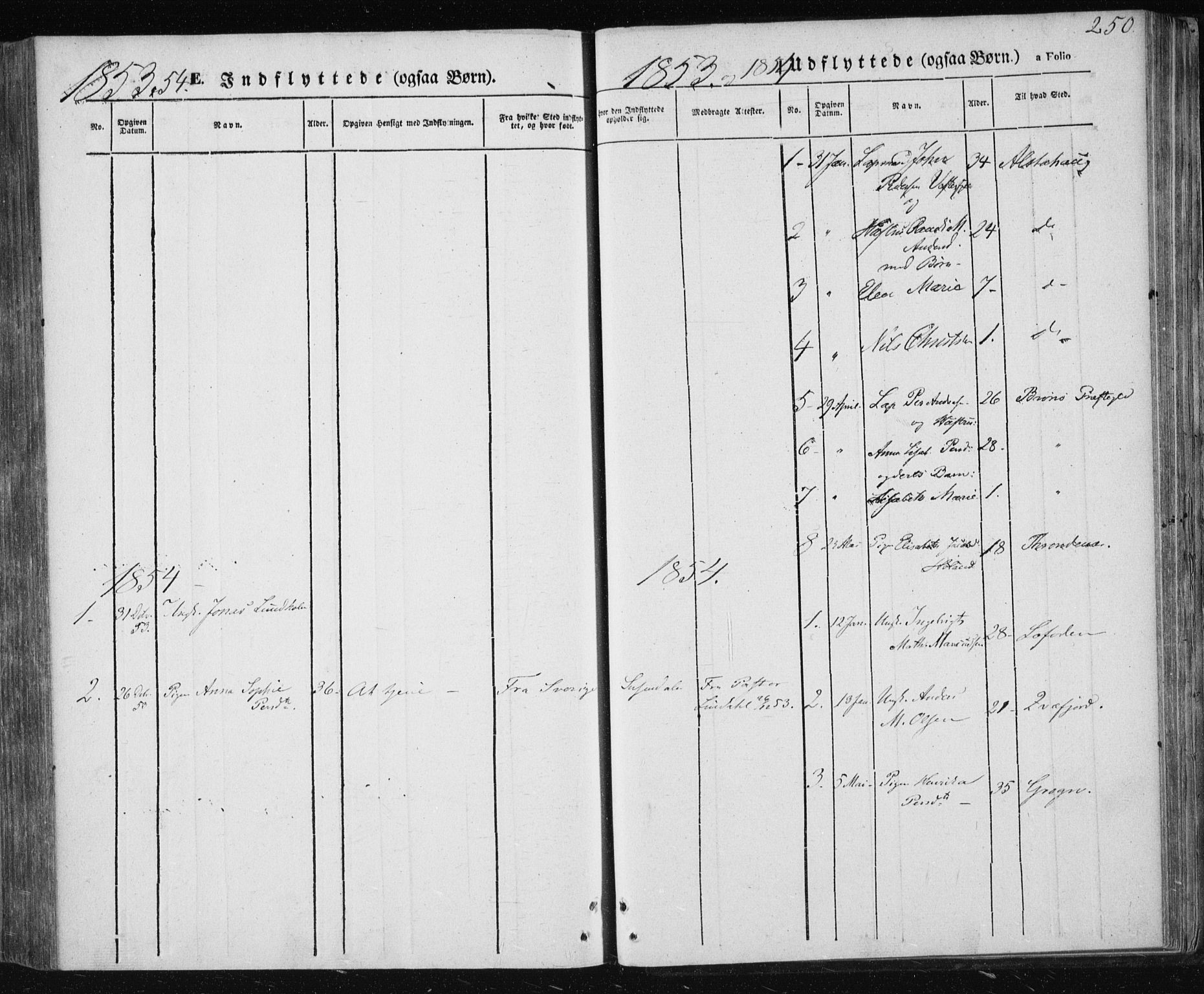 Ministerialprotokoller, klokkerbøker og fødselsregistre - Nordland, AV/SAT-A-1459/820/L0291: Parish register (official) no. 820A12, 1846-1854, p. 250