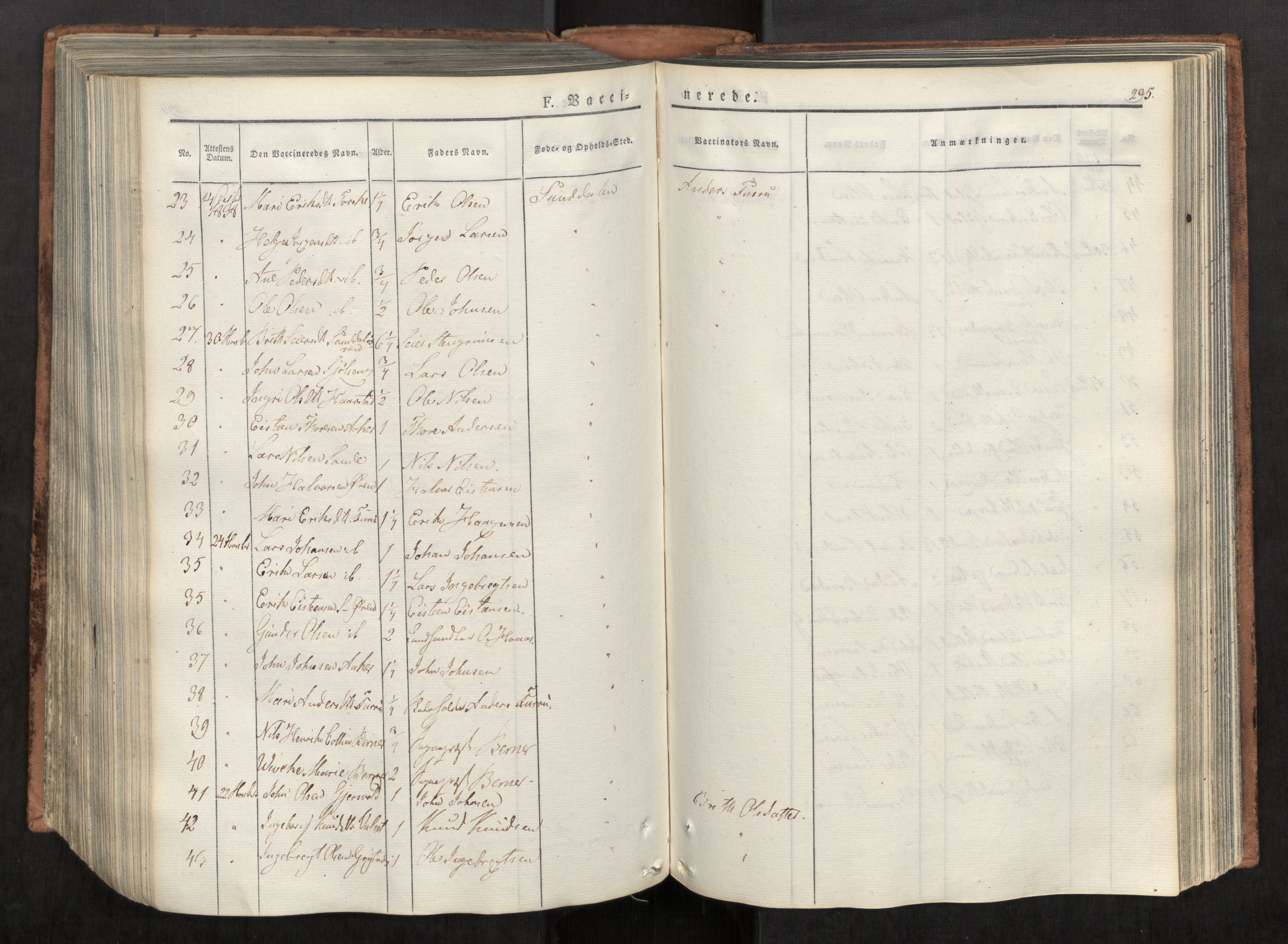 Ministerialprotokoller, klokkerbøker og fødselsregistre - Møre og Romsdal, AV/SAT-A-1454/590/L1012: Parish register (official) no. 590A04, 1832-1846, p. 295