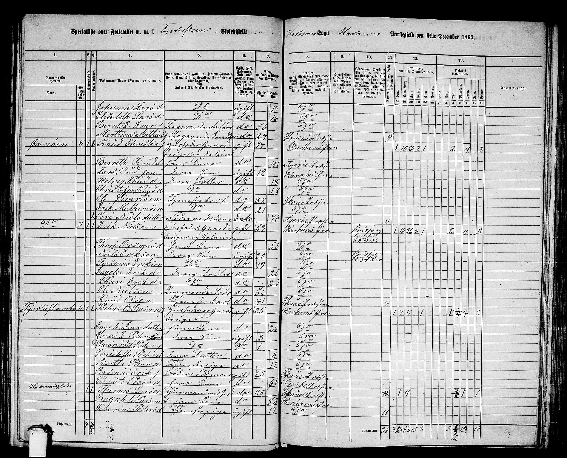 RA, 1865 census for Haram, 1865, p. 10