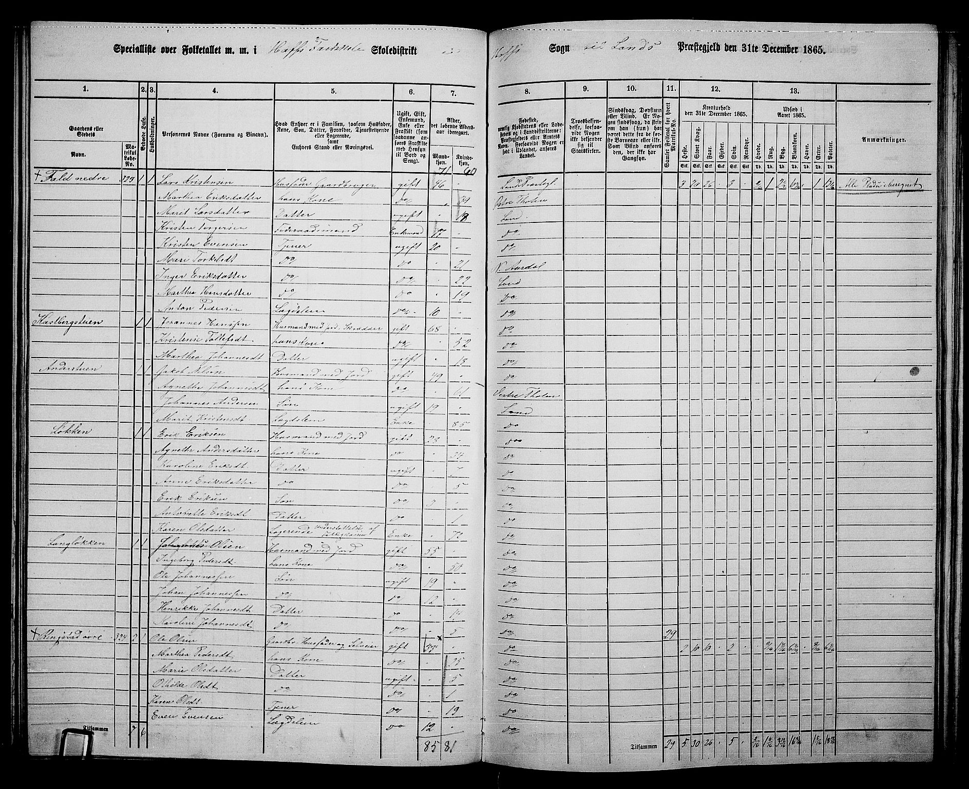 RA, 1865 census for Land, 1865, p. 360