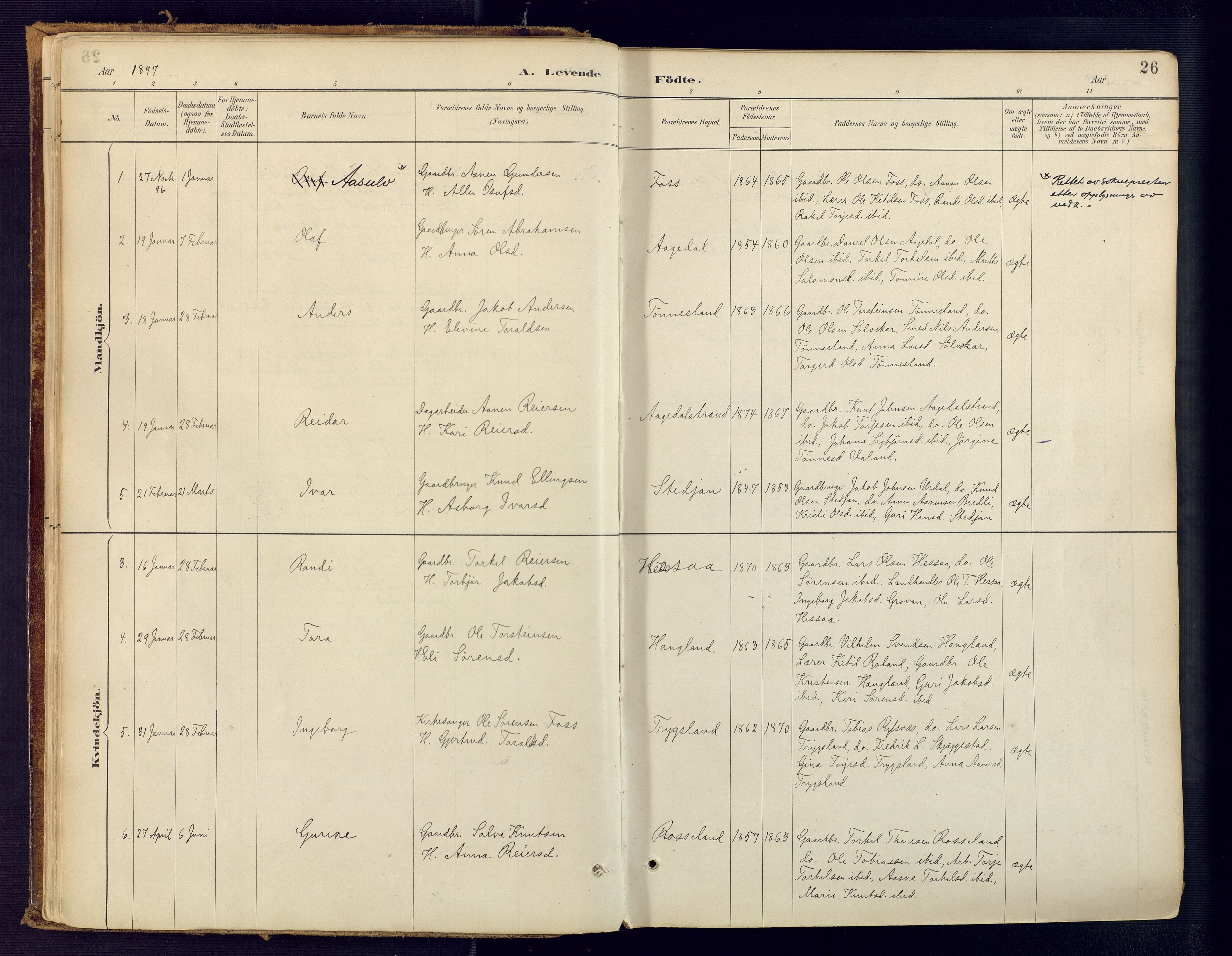 Bjelland sokneprestkontor, AV/SAK-1111-0005/F/Fa/Faa/L0004: Parish register (official) no. A 4, 1887-1923, p. 26