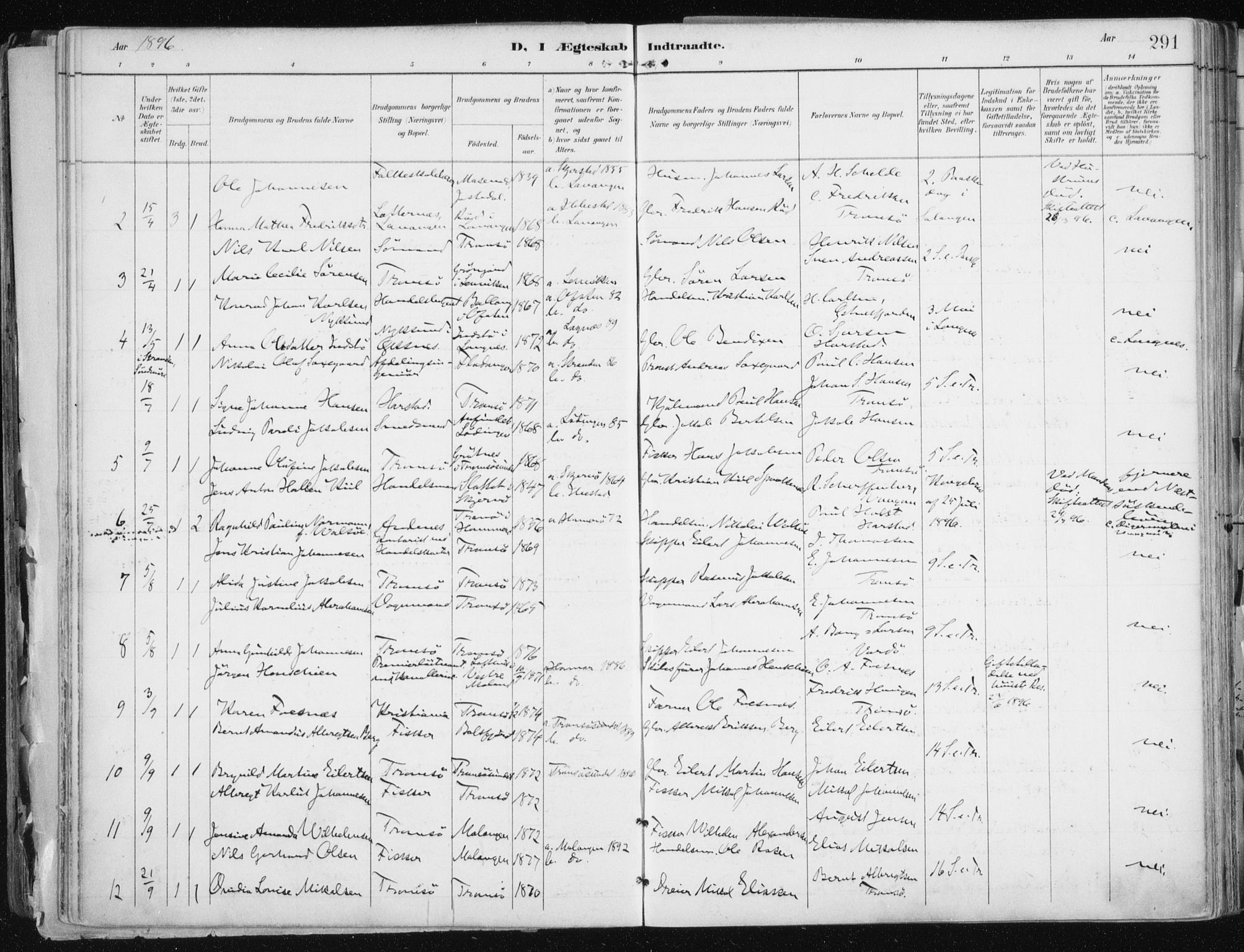 Tromsø sokneprestkontor/stiftsprosti/domprosti, AV/SATØ-S-1343/G/Ga/L0015kirke: Parish register (official) no. 15, 1889-1899, p. 291