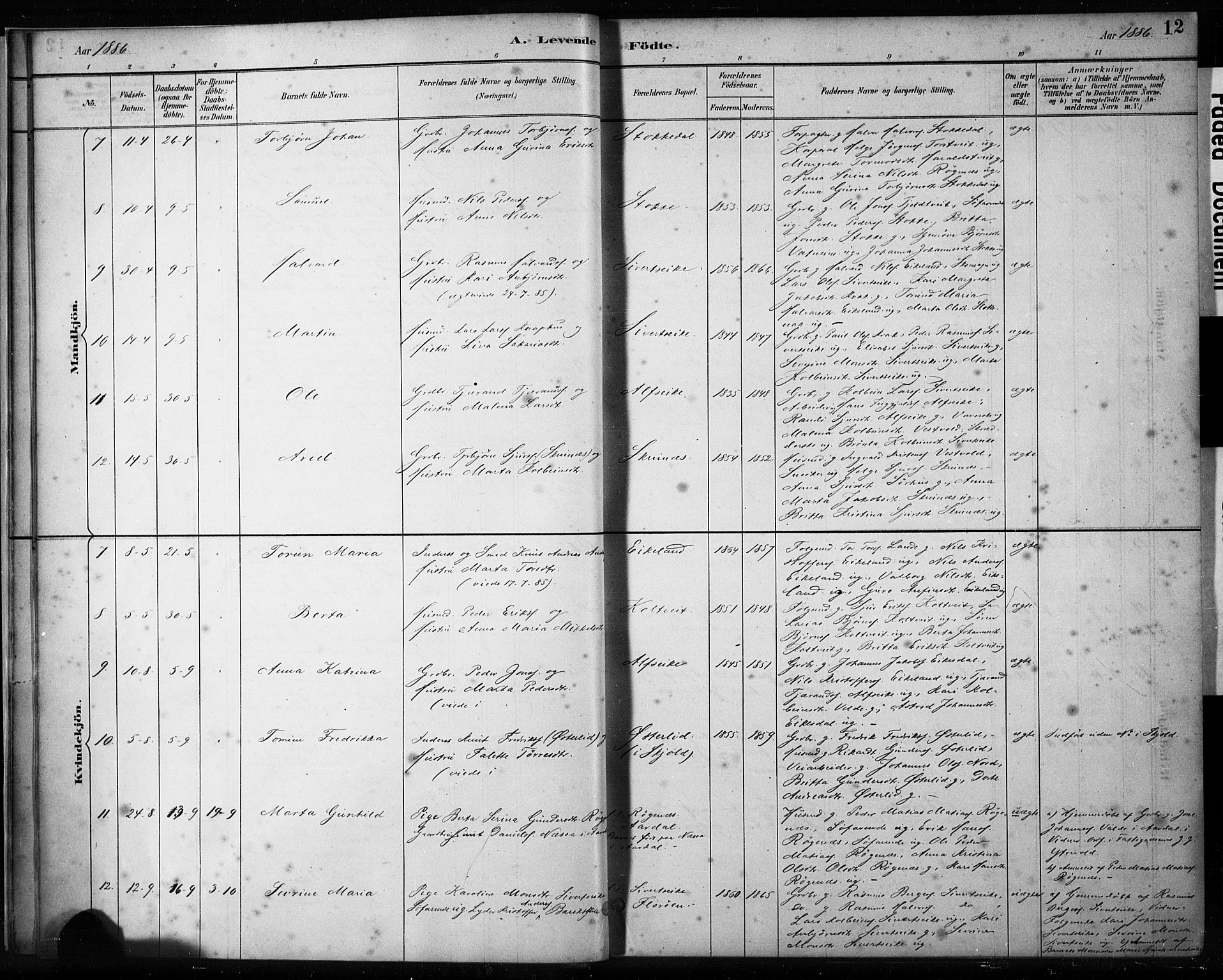 Skjold sokneprestkontor, AV/SAST-A-101847/H/Ha/Haa/L0009: Parish register (official) no. A 9, 1882-1898, p. 12