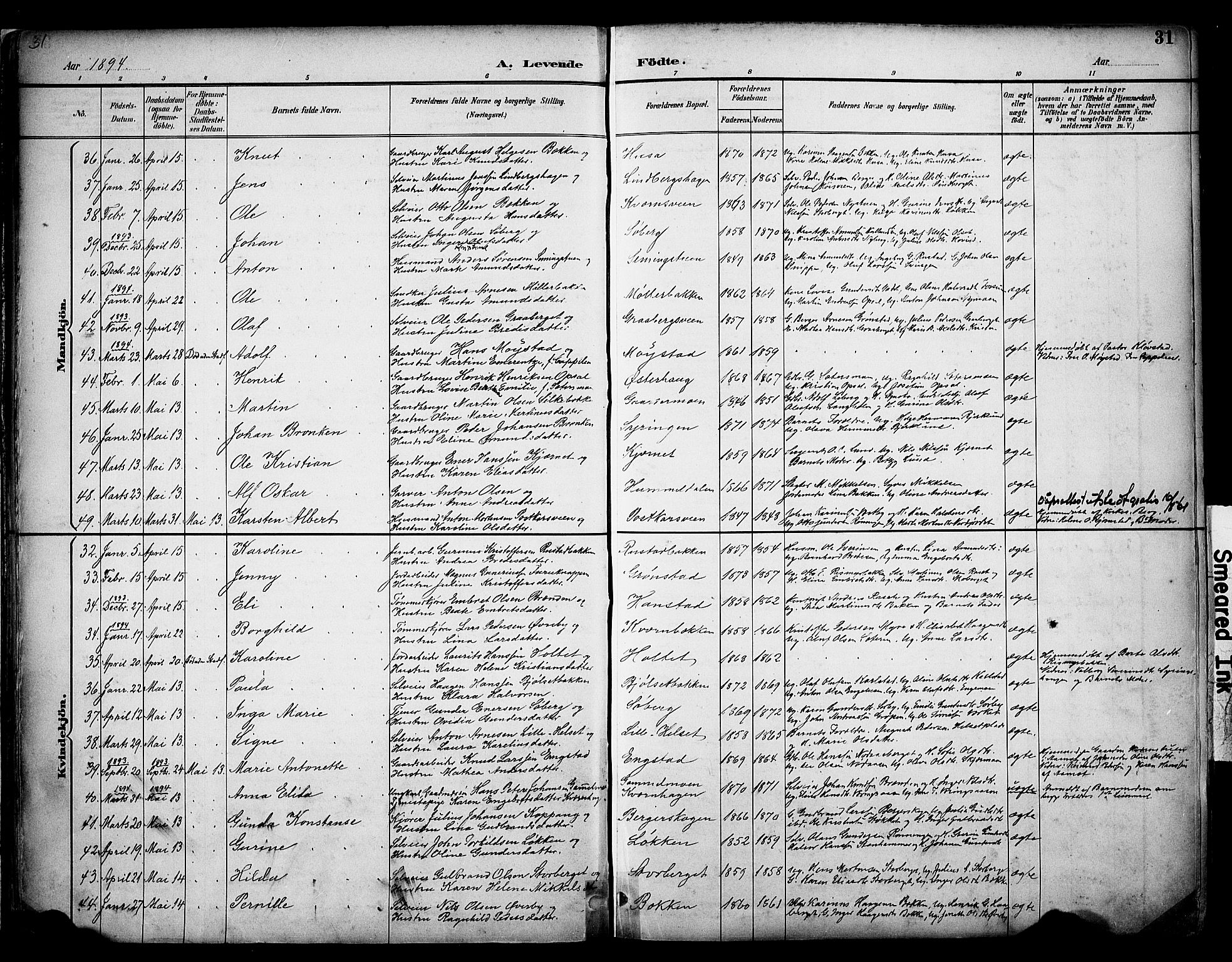 Elverum prestekontor, AV/SAH-PREST-044/H/Ha/Haa/L0014: Parish register (official) no. 14, 1891-1909, p. 31