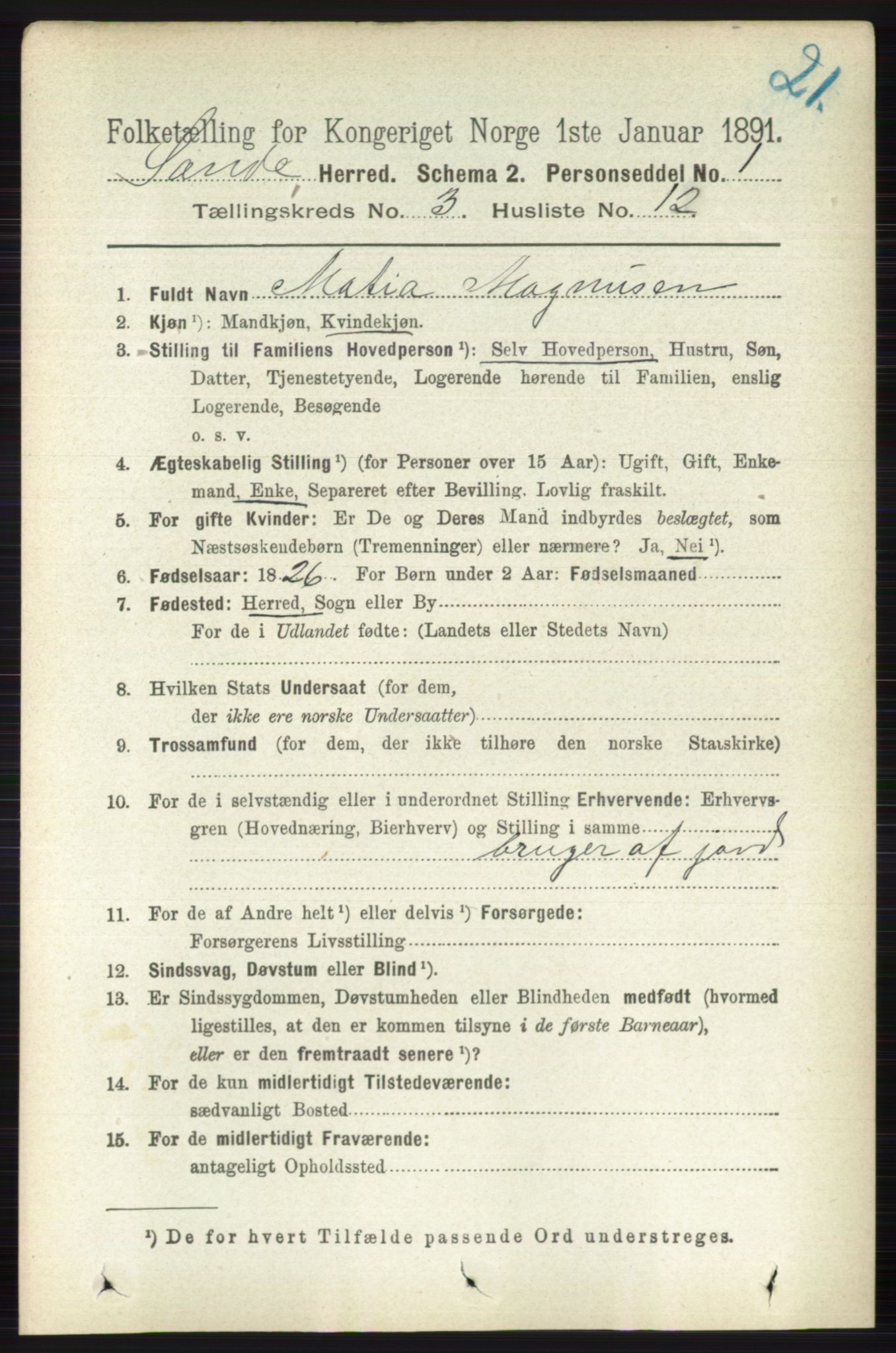 RA, 1891 census for 0713 Sande, 1891, p. 1005