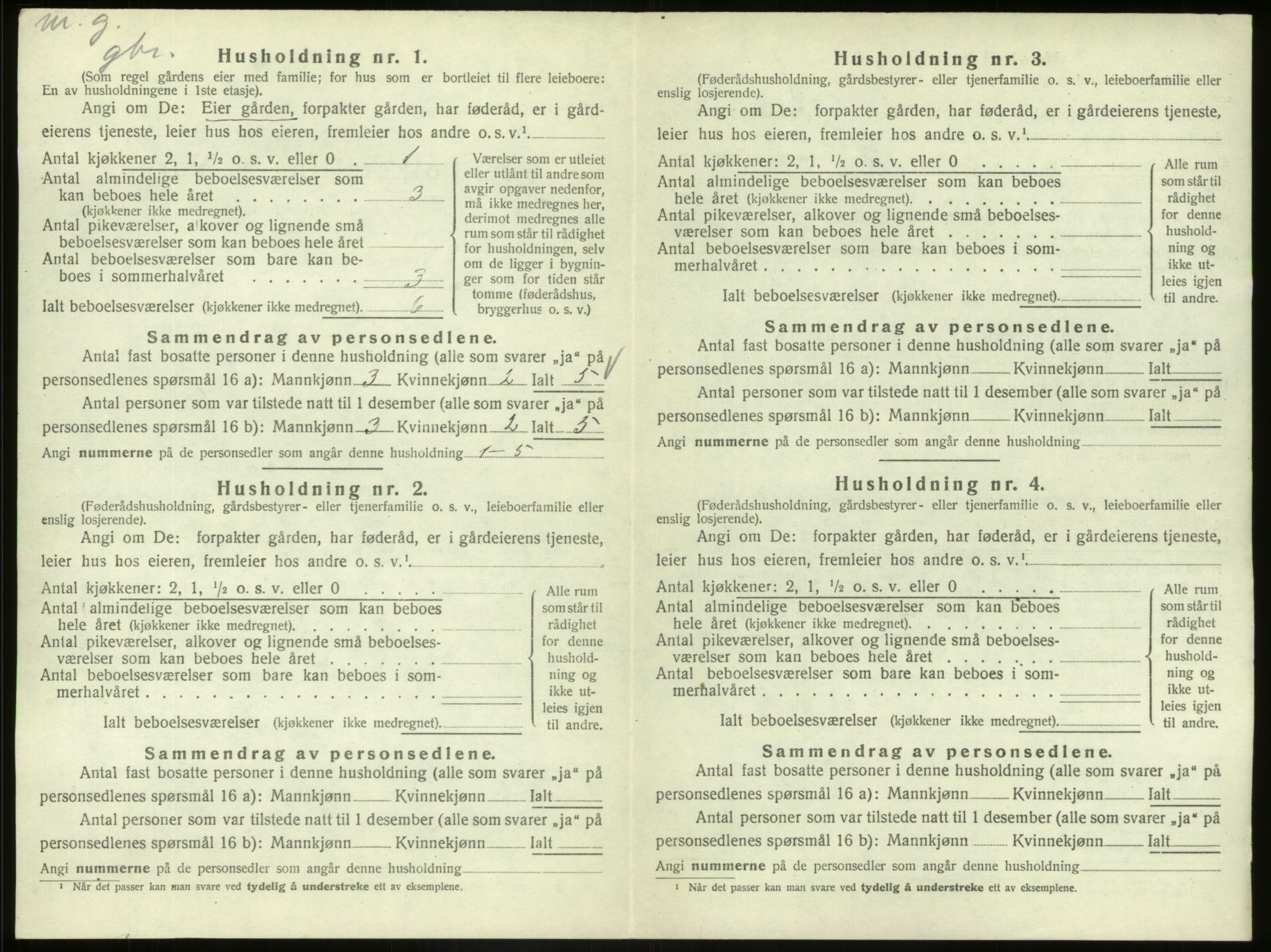 SAB, 1920 census for Hafslo, 1920, p. 162