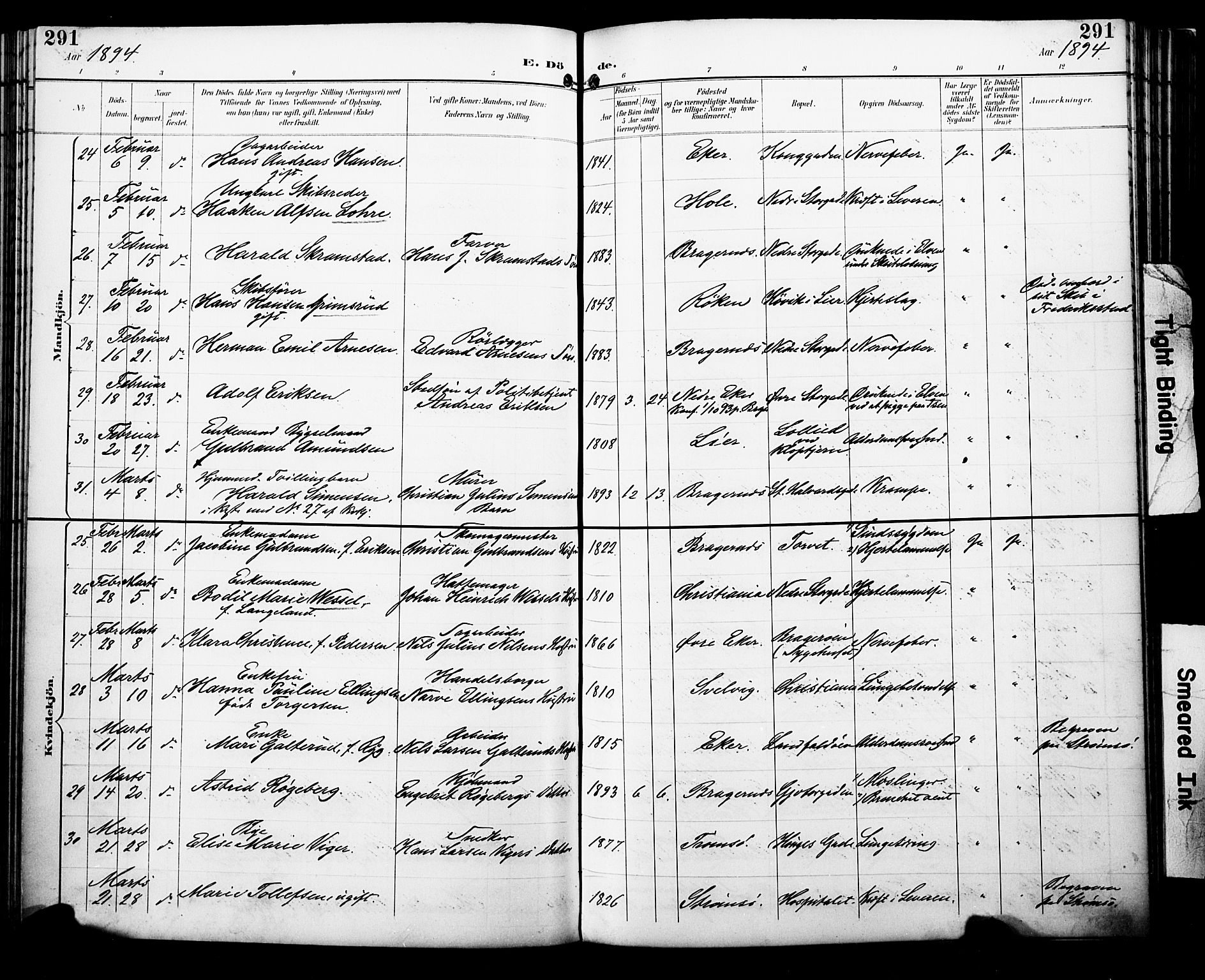 Bragernes kirkebøker, AV/SAKO-A-6/F/Fb/L0008: Parish register (official) no. II 8, 1894-1902, p. 291