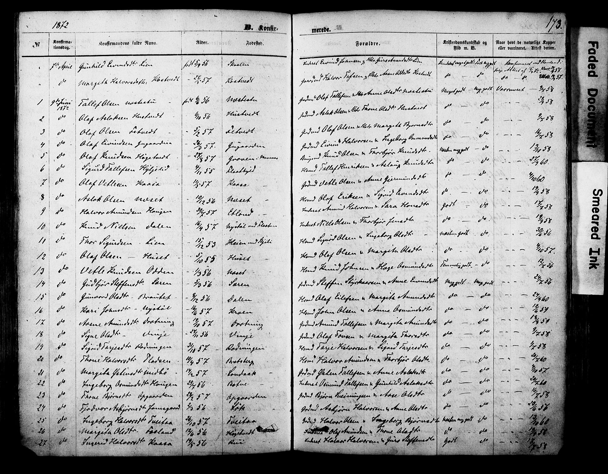 Vinje kirkebøker, AV/SAKO-A-312/F/Fa/L0005: Parish register (official) no. I 5, 1870-1886, p. 173